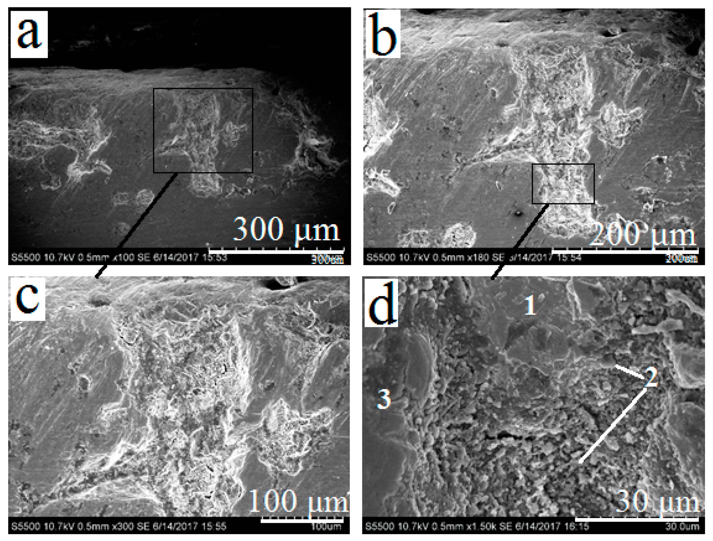 Materials 13 04493 g007 550