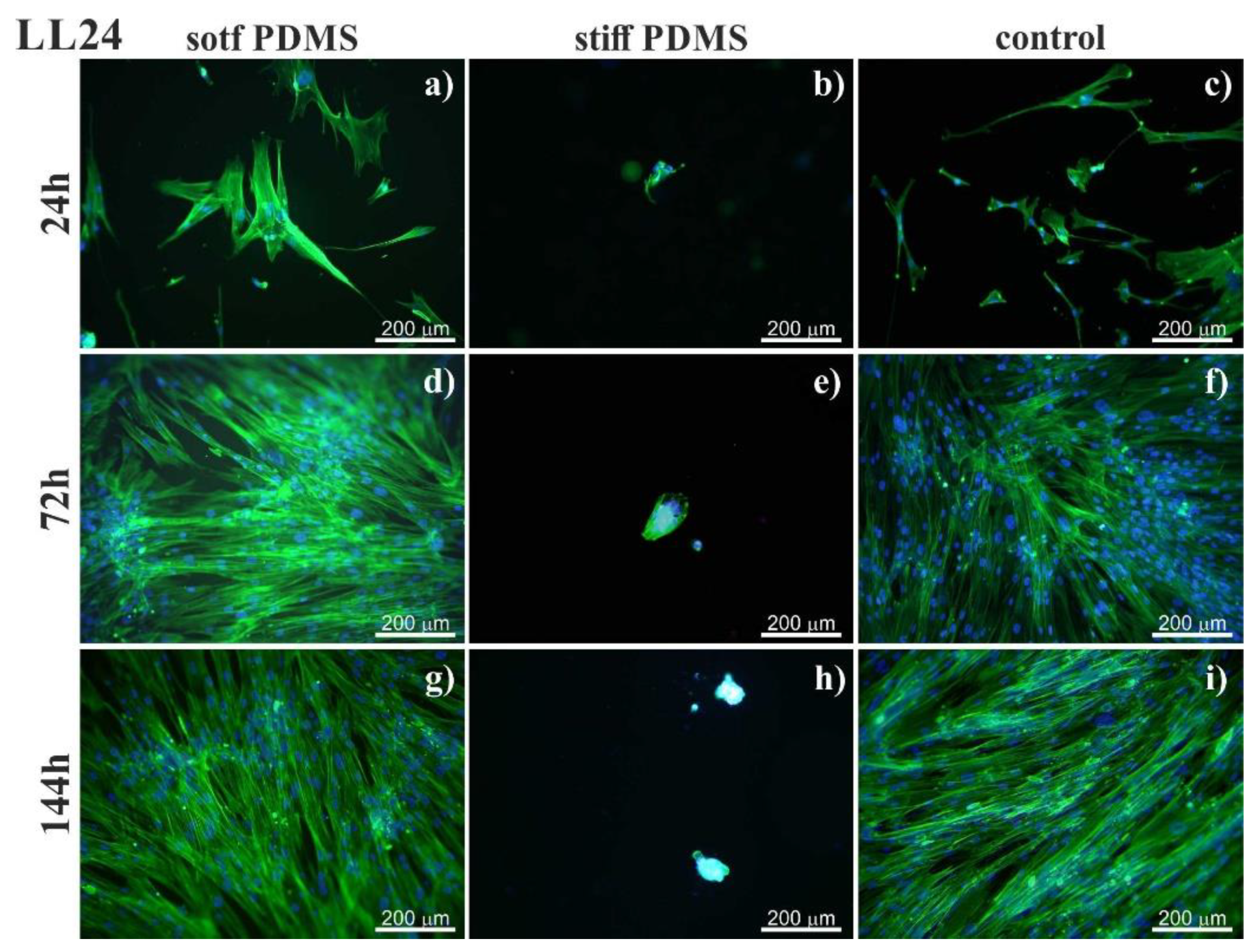Materials 13 04495 g001 Materials 13 04495 g001