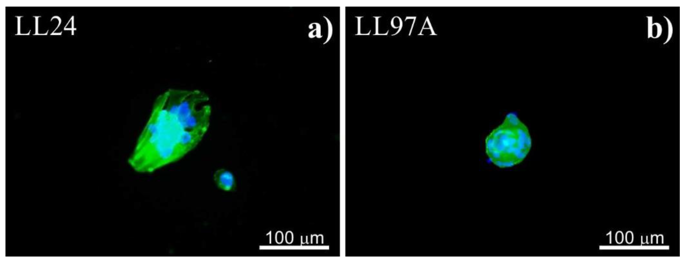 Materials 13 04495 g003 Materials 13 04495 g003