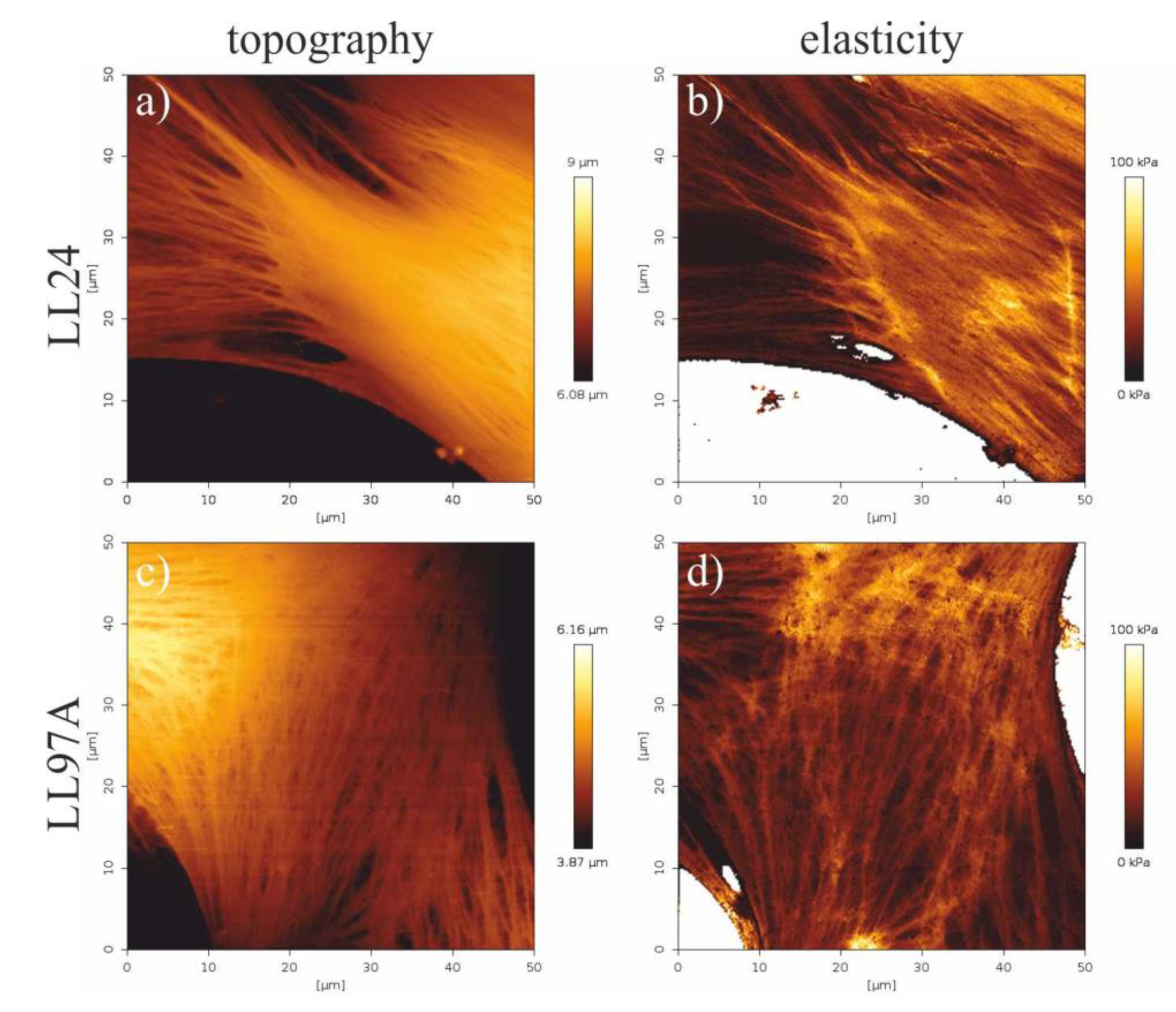 Materials 13 04495 g006 Materials 13 04495 g006