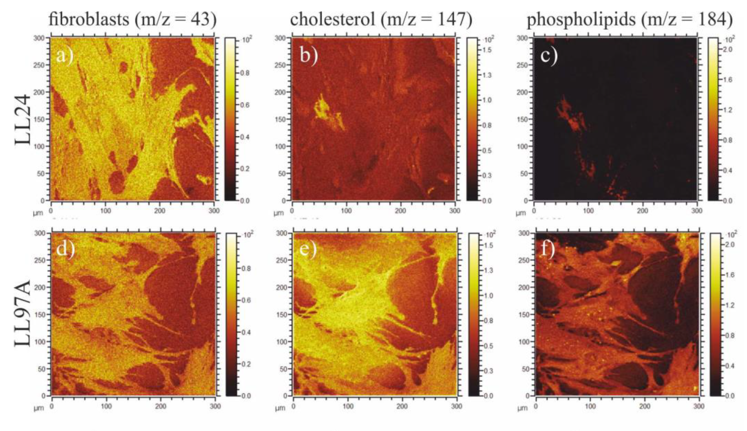 Materials 13 04495 g009 Materials 13 04495 g009