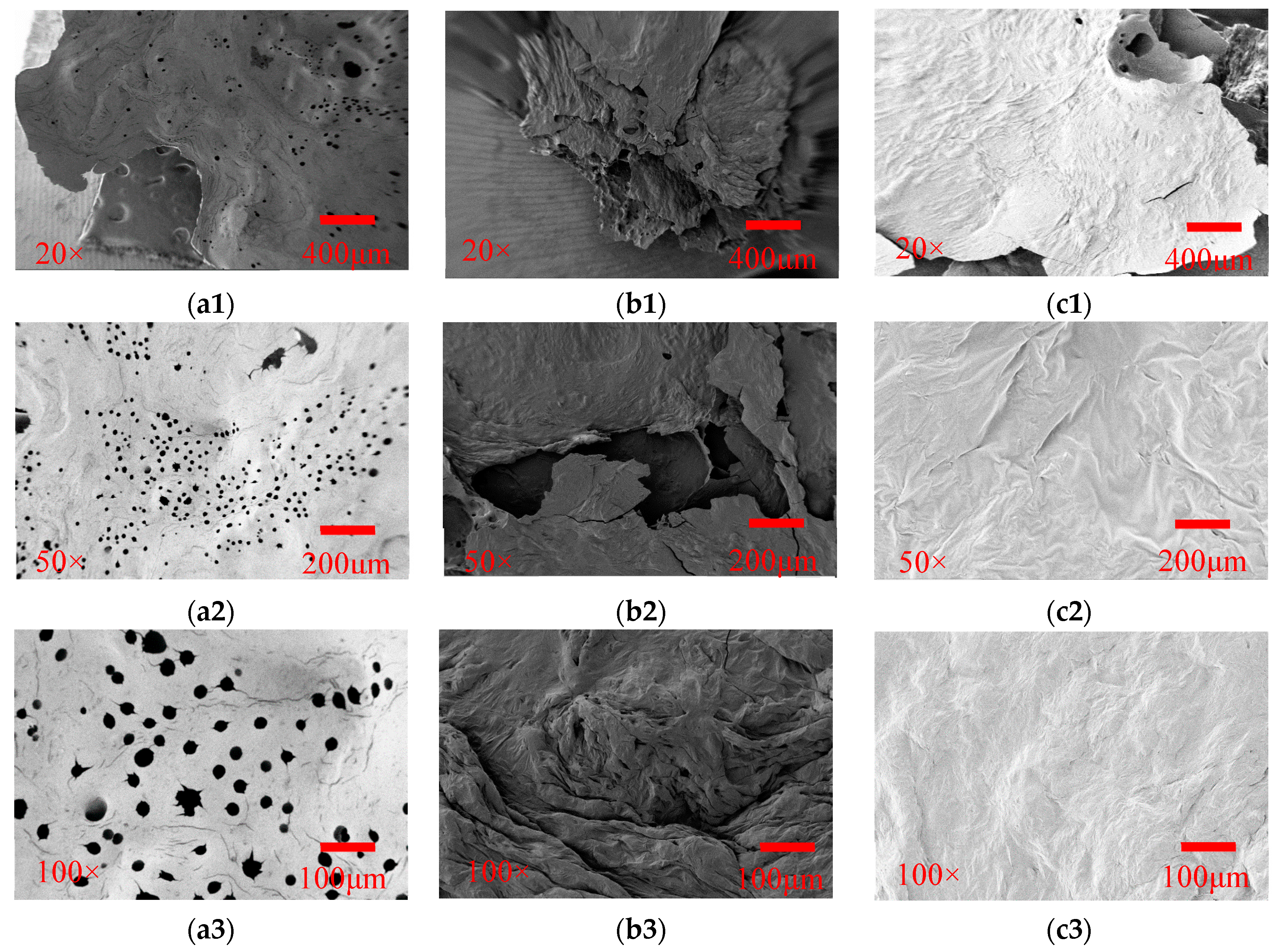 Materials 13 04509 g008b Materials 13 04509 g008b