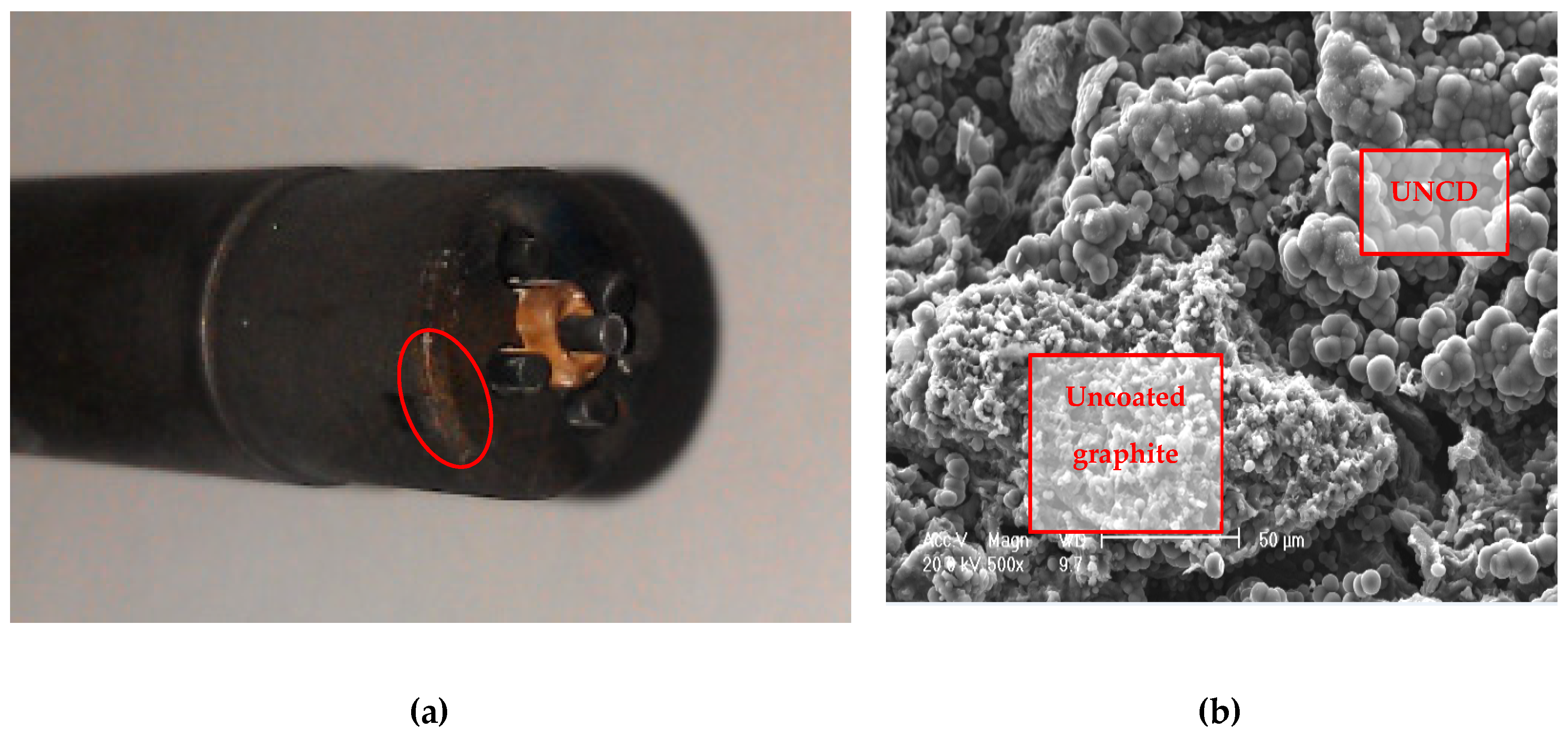 Materials 13 04524 g006