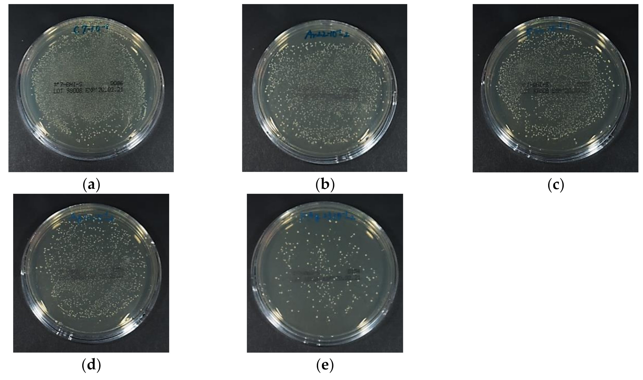 Materials 13 04525 g007 Materials 13 04525 g007