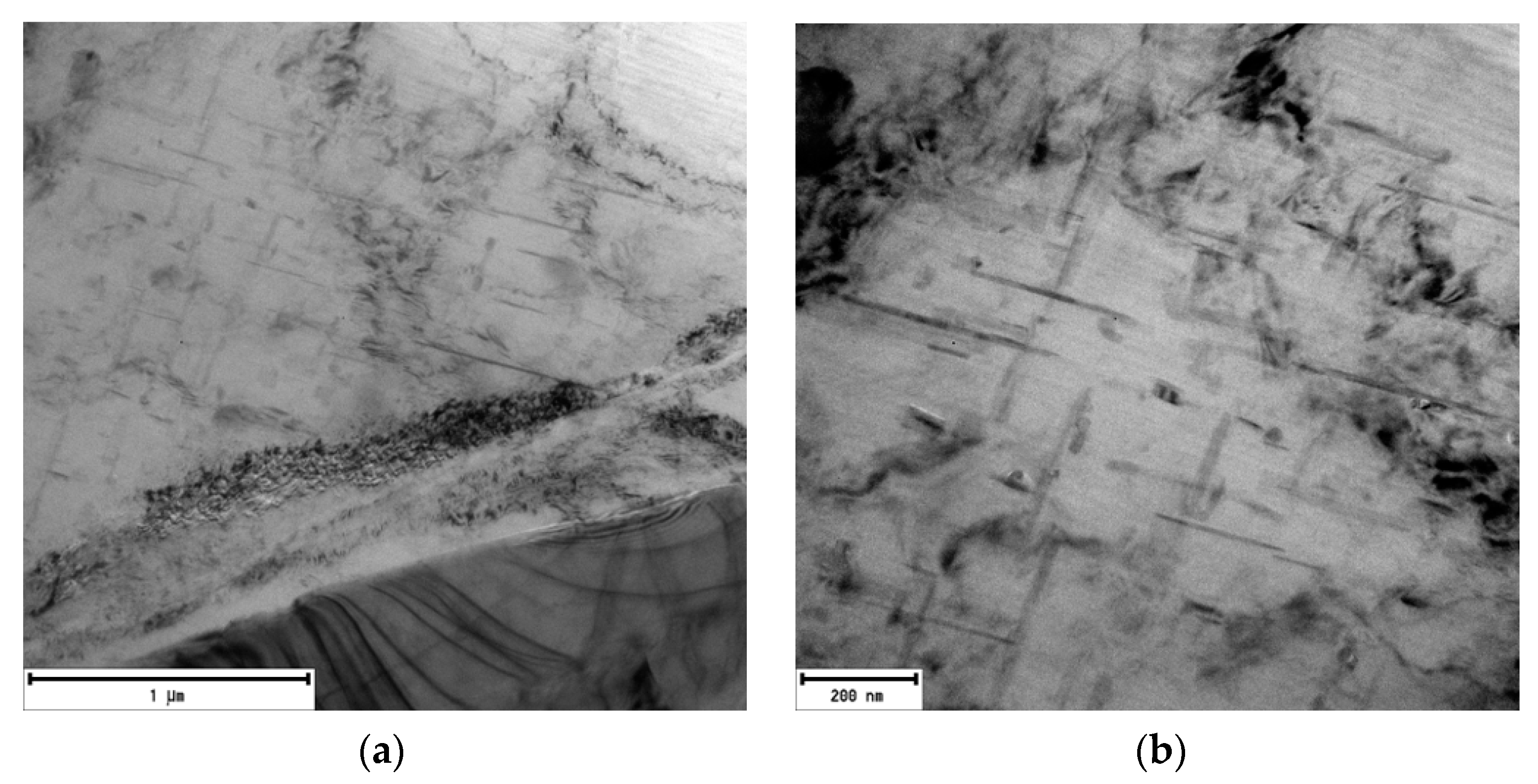 Materials 13 04538 g011 Materials 13 04538 g011