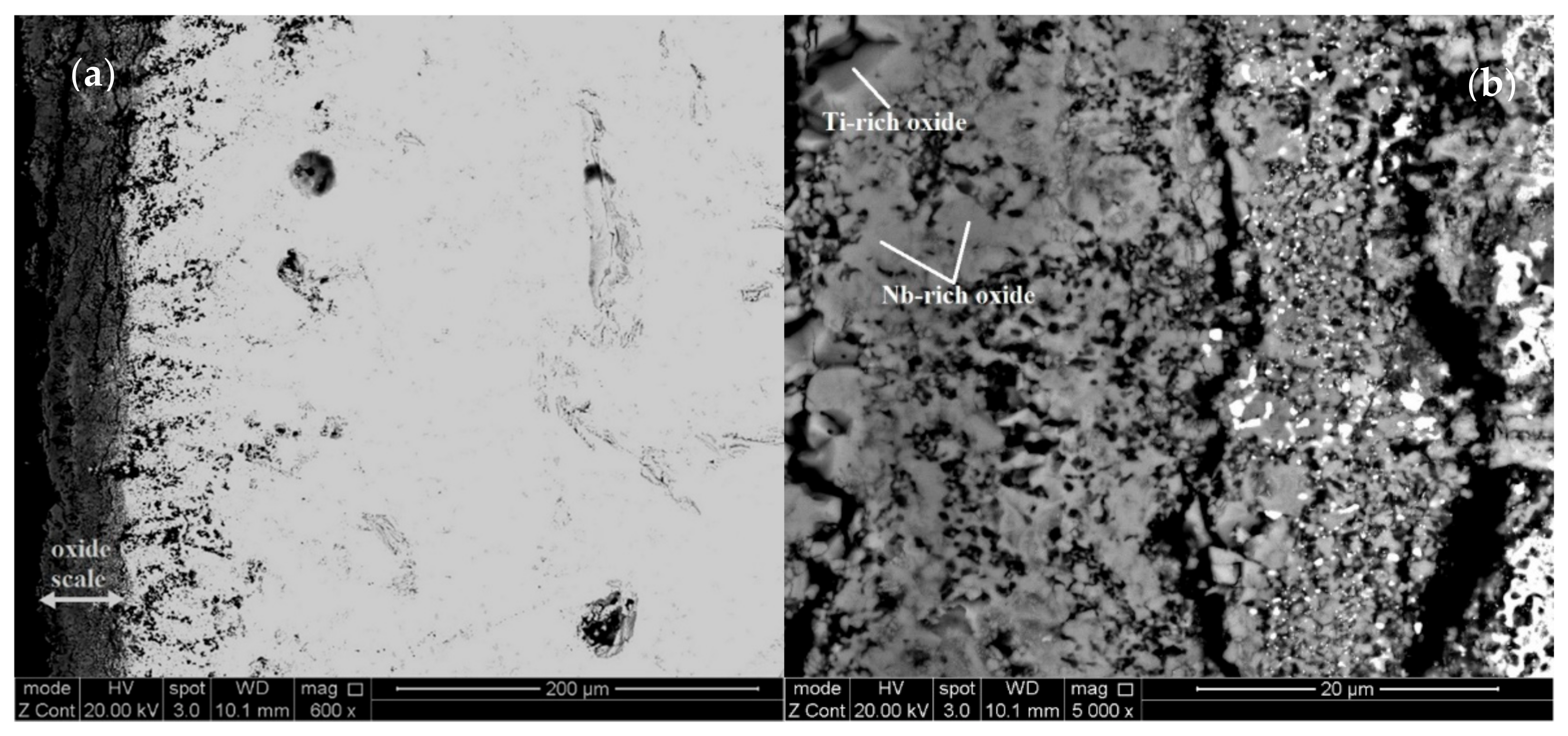 Materials 13 04548 g006a Materials 13 04548 g006a