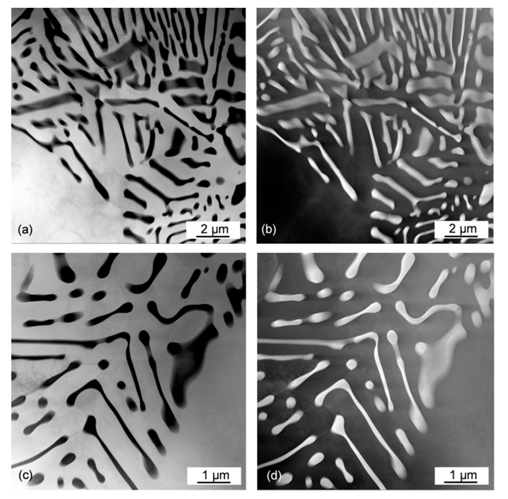 Materials 13 04549 g009