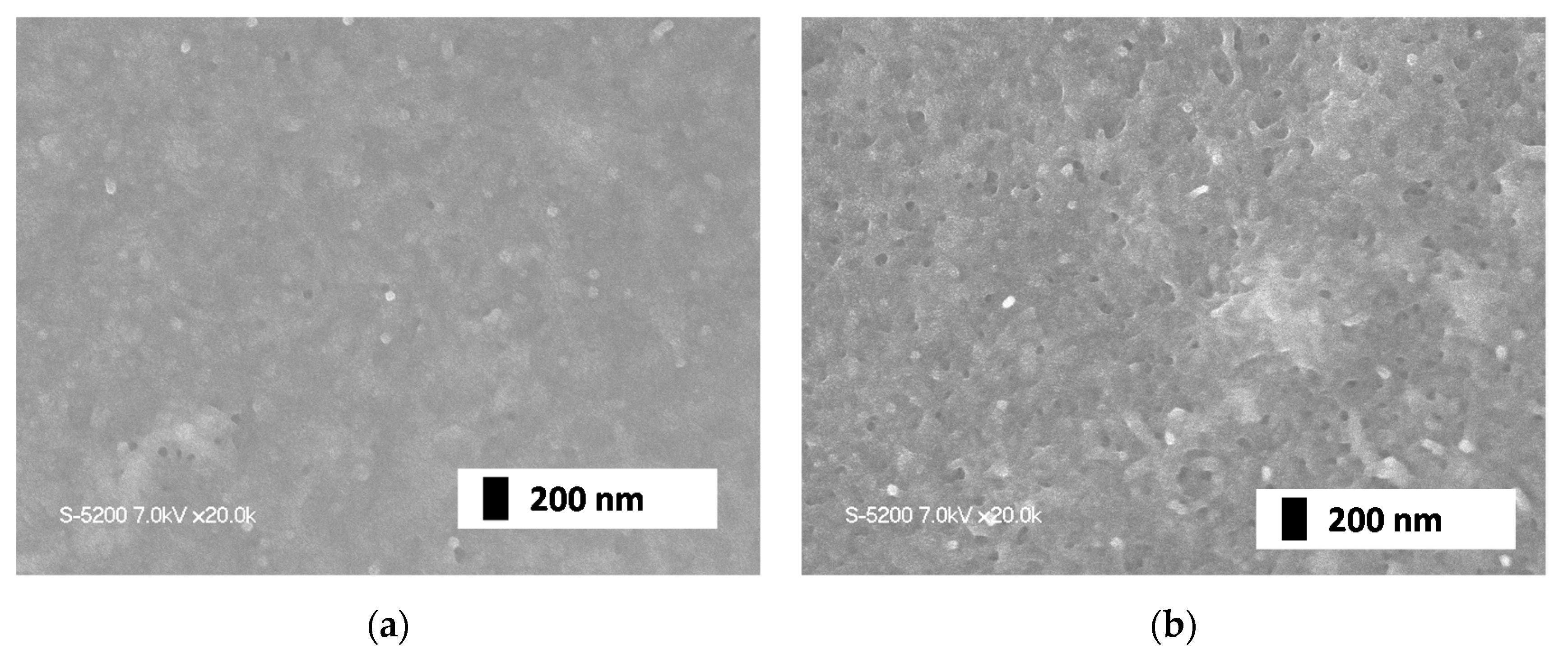 Materials 13 04568 g001 Materials 13 04568 g001