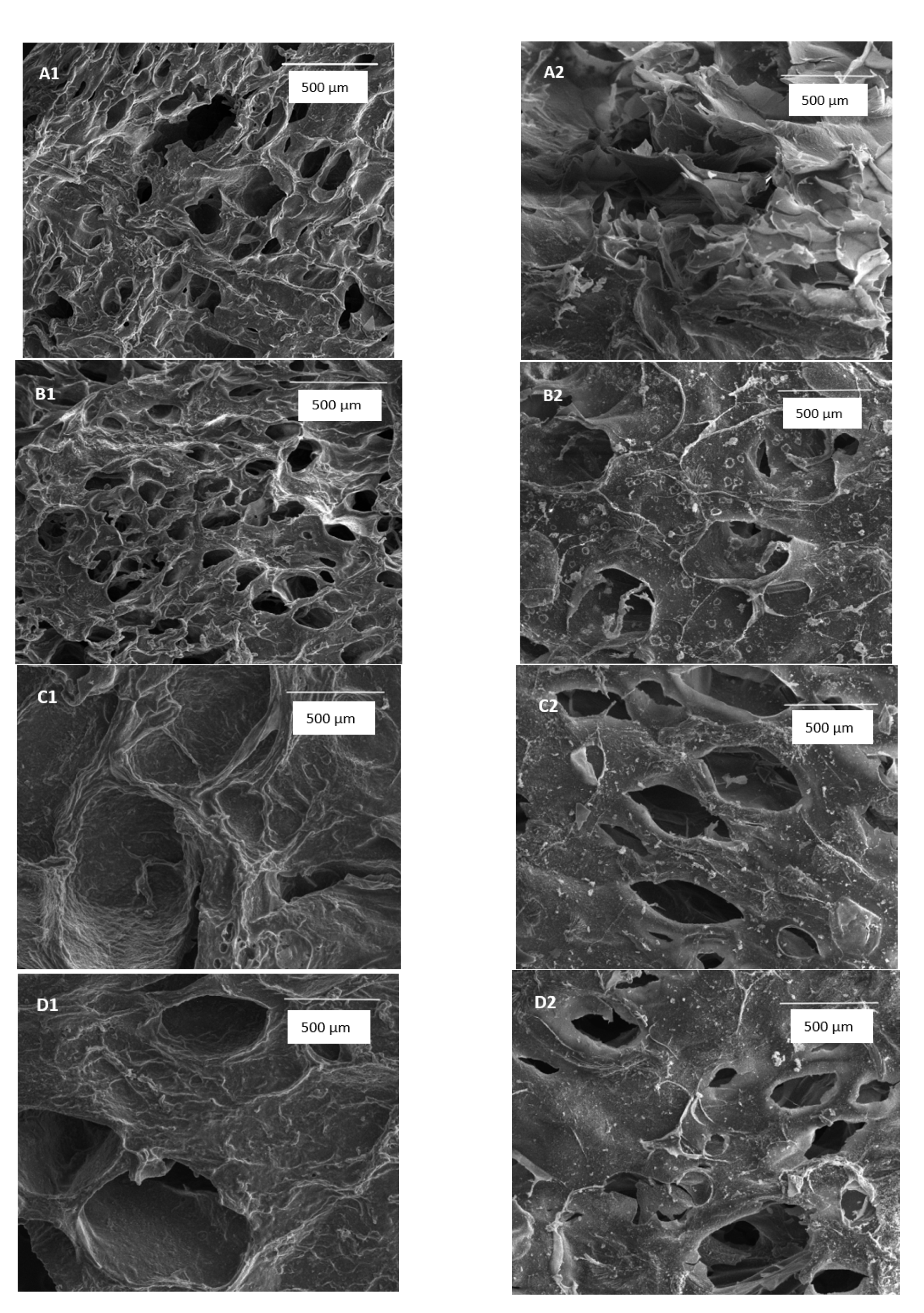 Materials 13 04572 g001 Materials 13 04572 g001