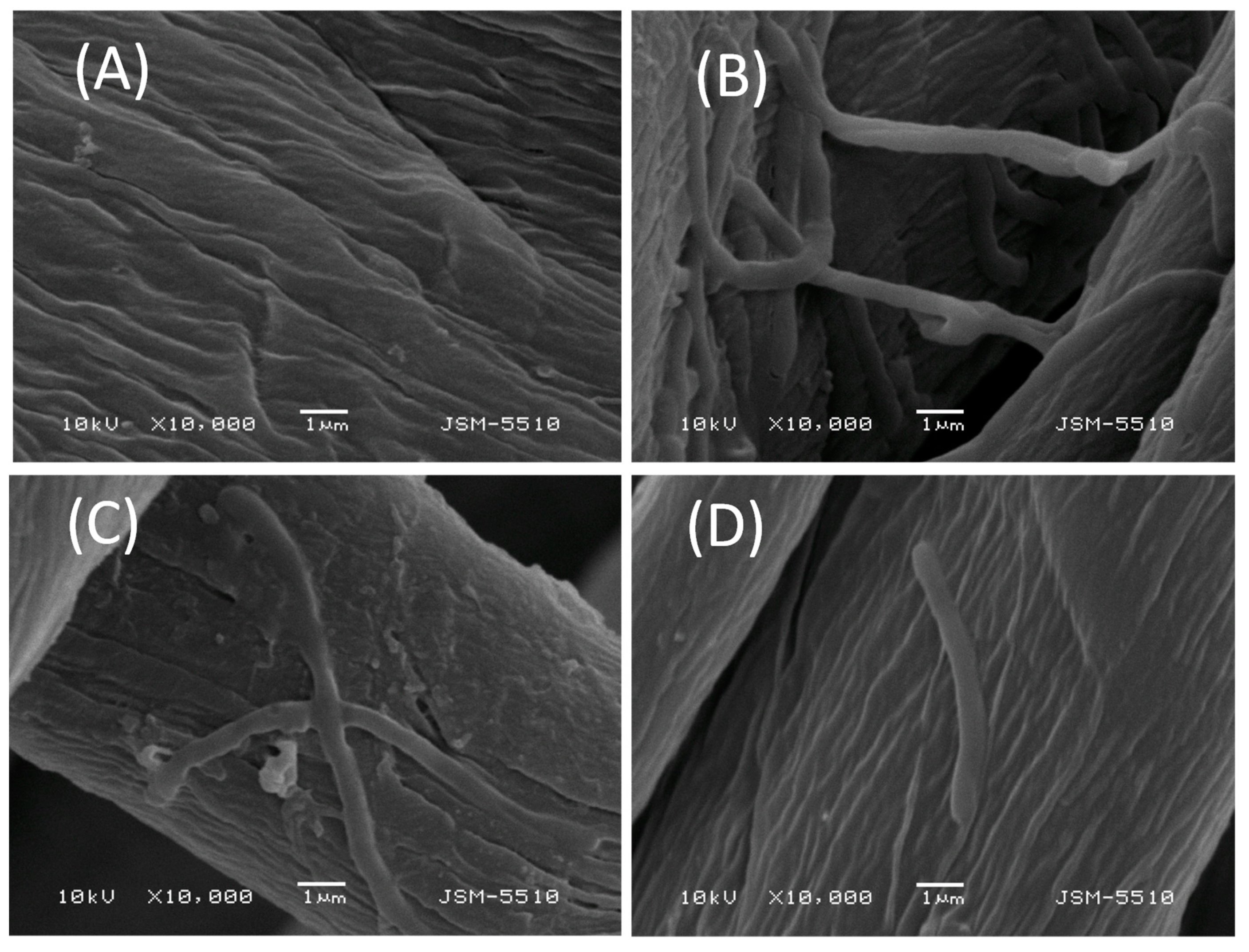 Materials 13 04574 g006 Materials 13 04574 g006