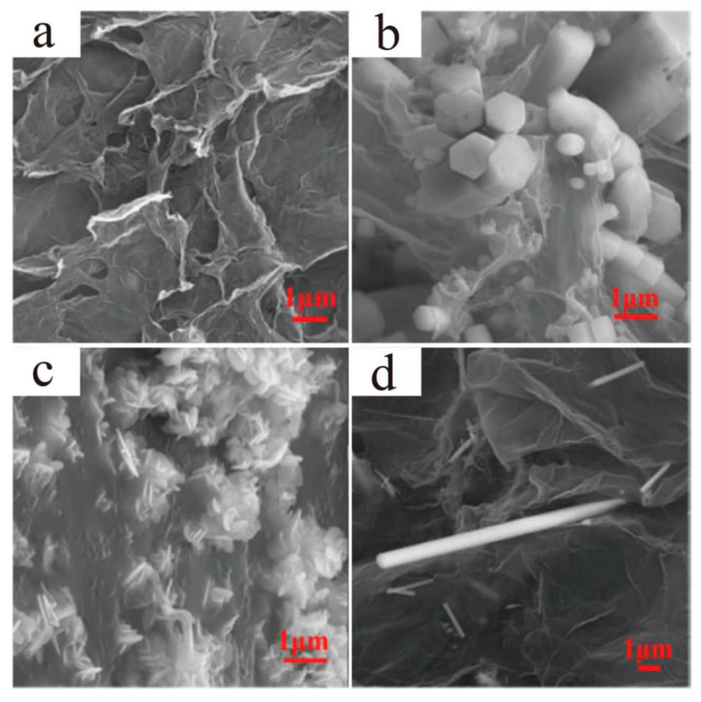 Materials 13 04590 g013 Materials 13 04590 g013