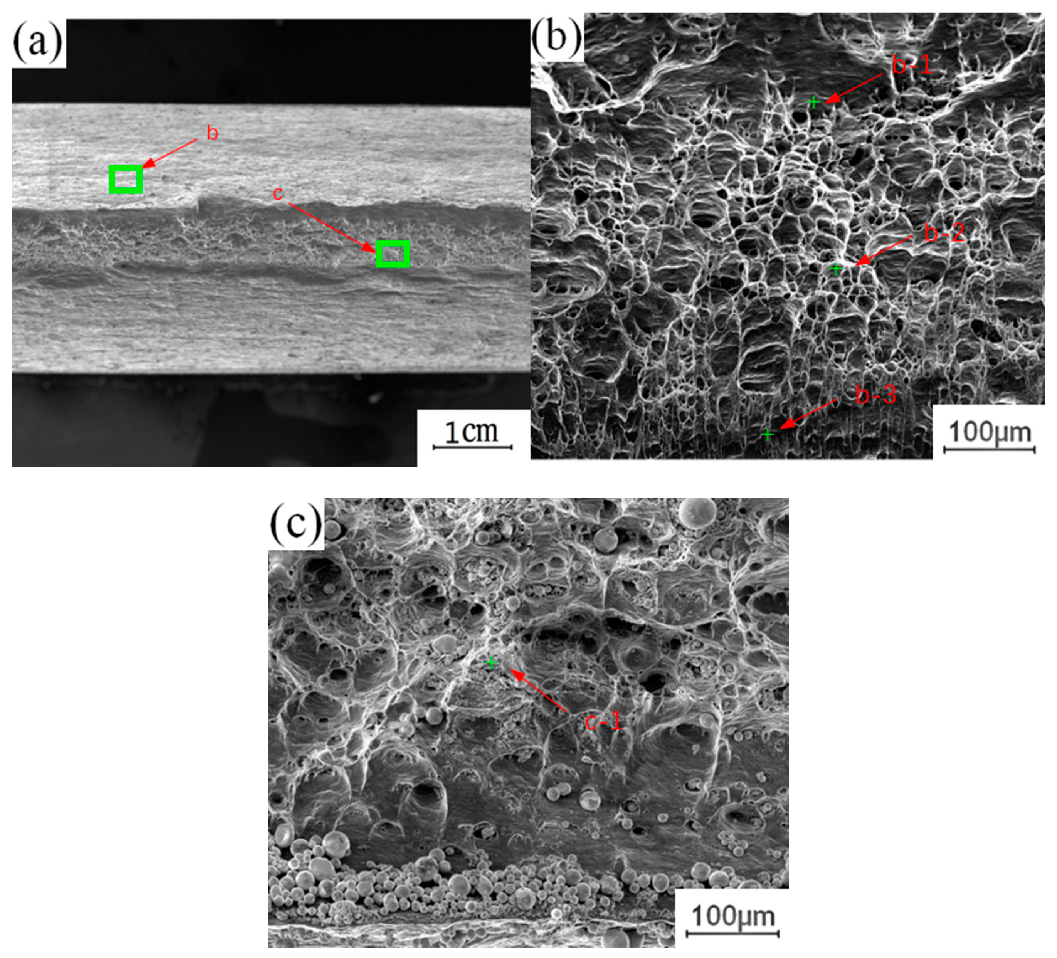 Materials 13 04591 g012 Materials 13 04591 g012
