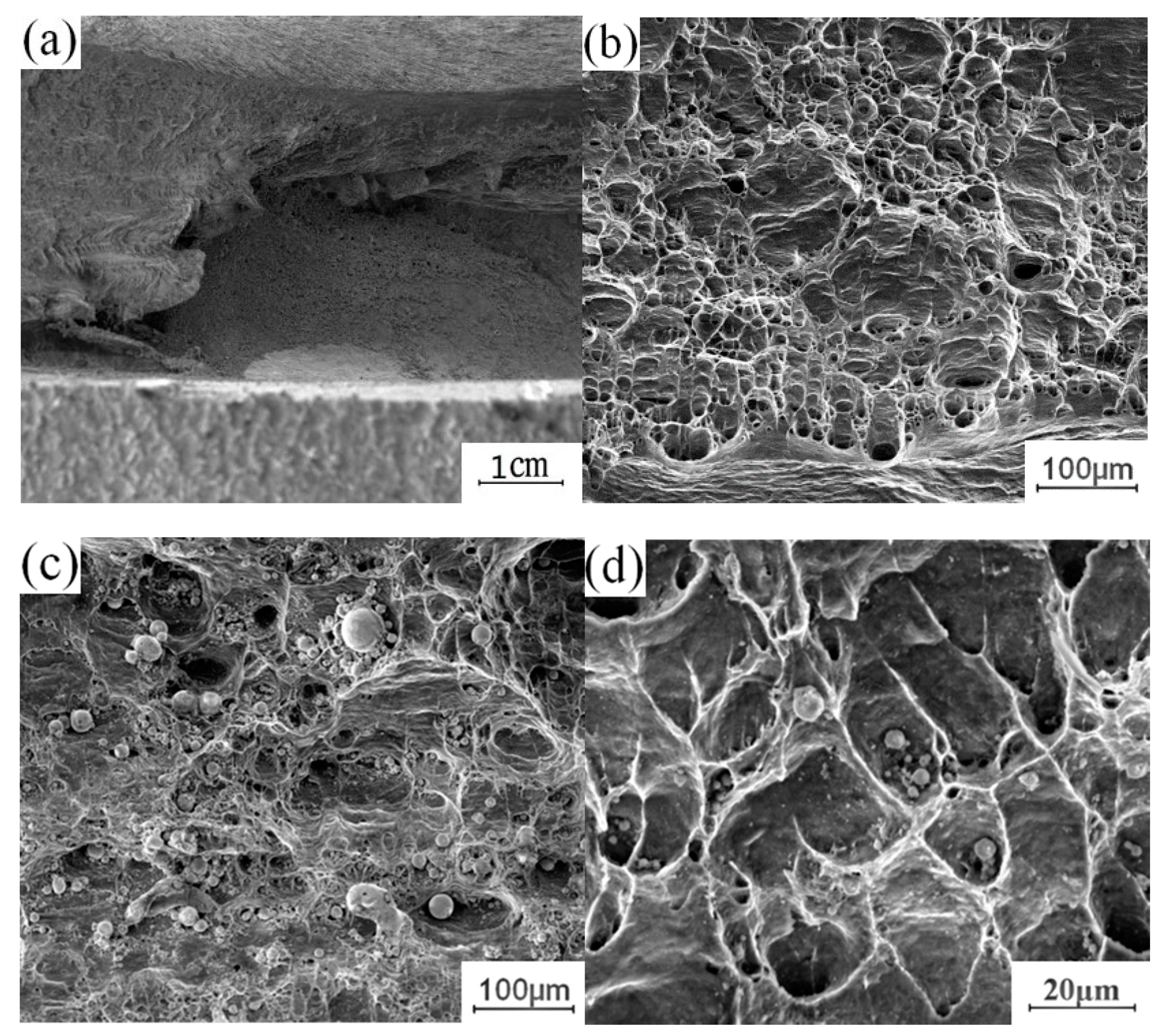 Materials 13 04591 g013 Materials 13 04591 g013