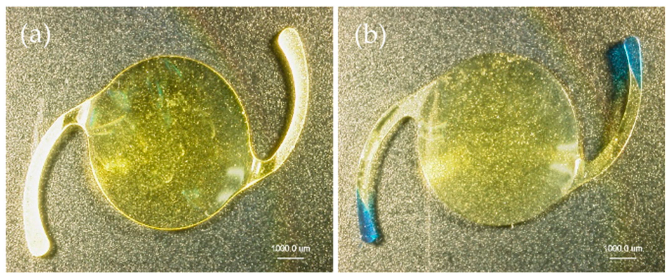 Materials 13 04593 g001a Materials 13 04593 g001a