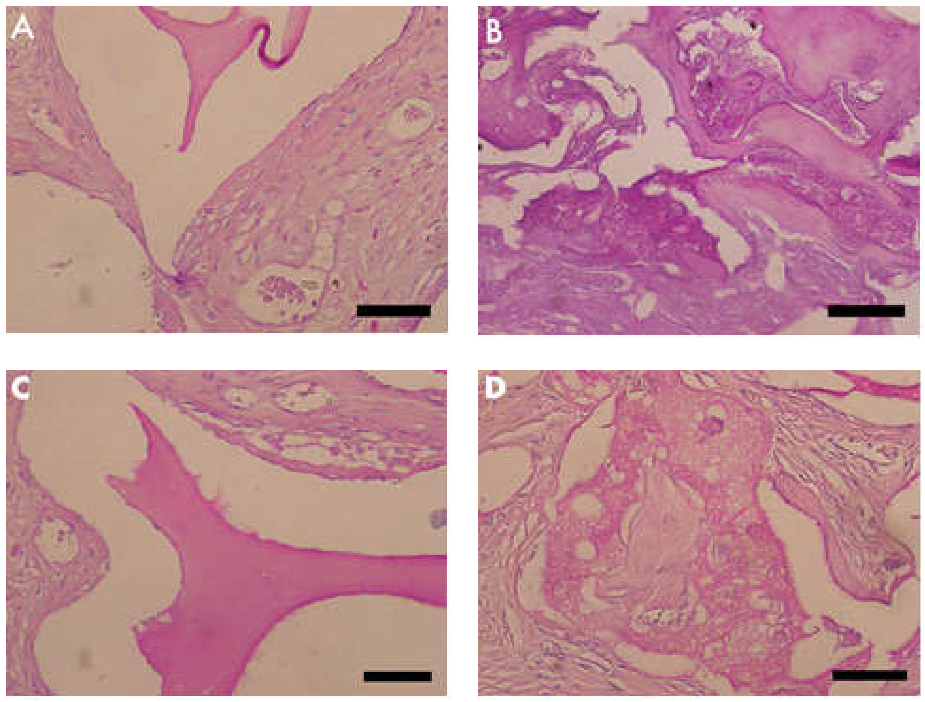 Materials 13 04598 g005