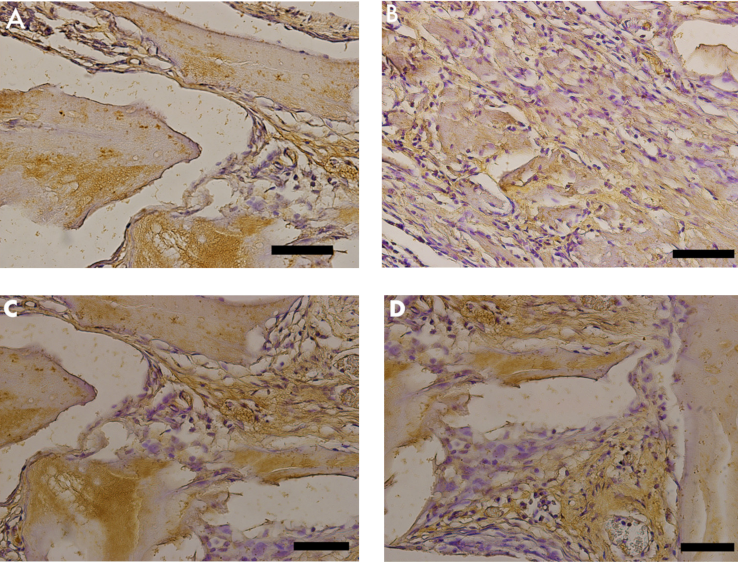 Materials 13 04598 g007