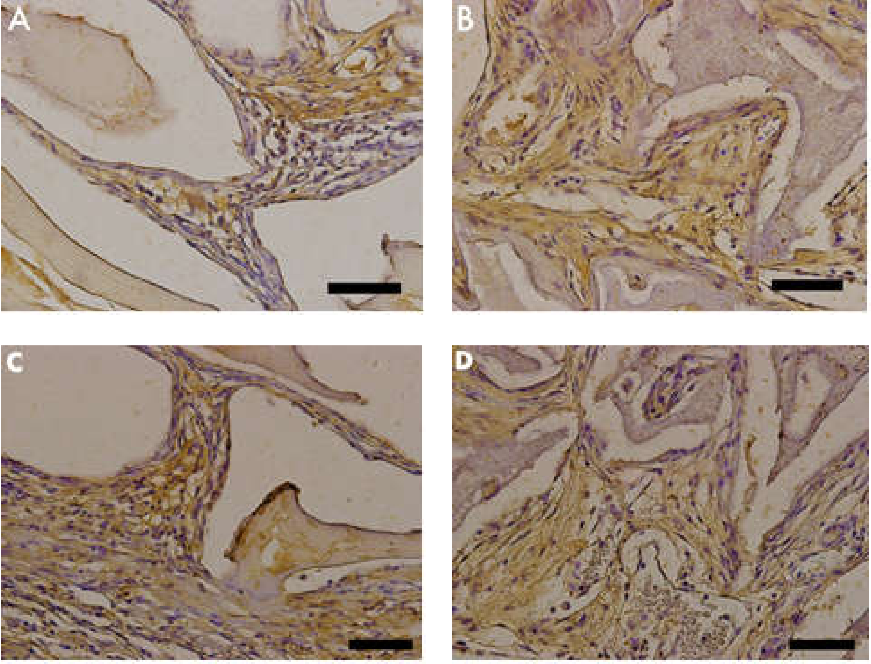 Materials 13 04598 g009