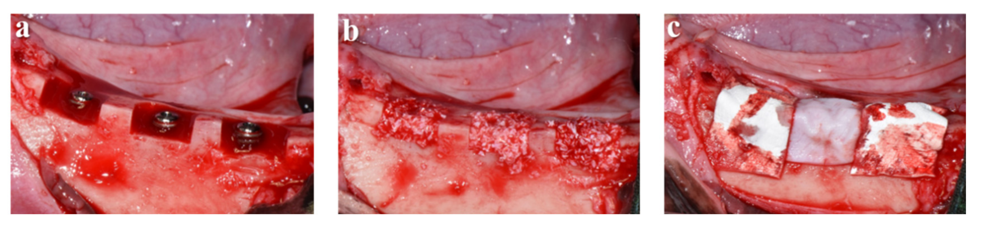 Materials 13 04599 g001 Materials 13 04599 g001