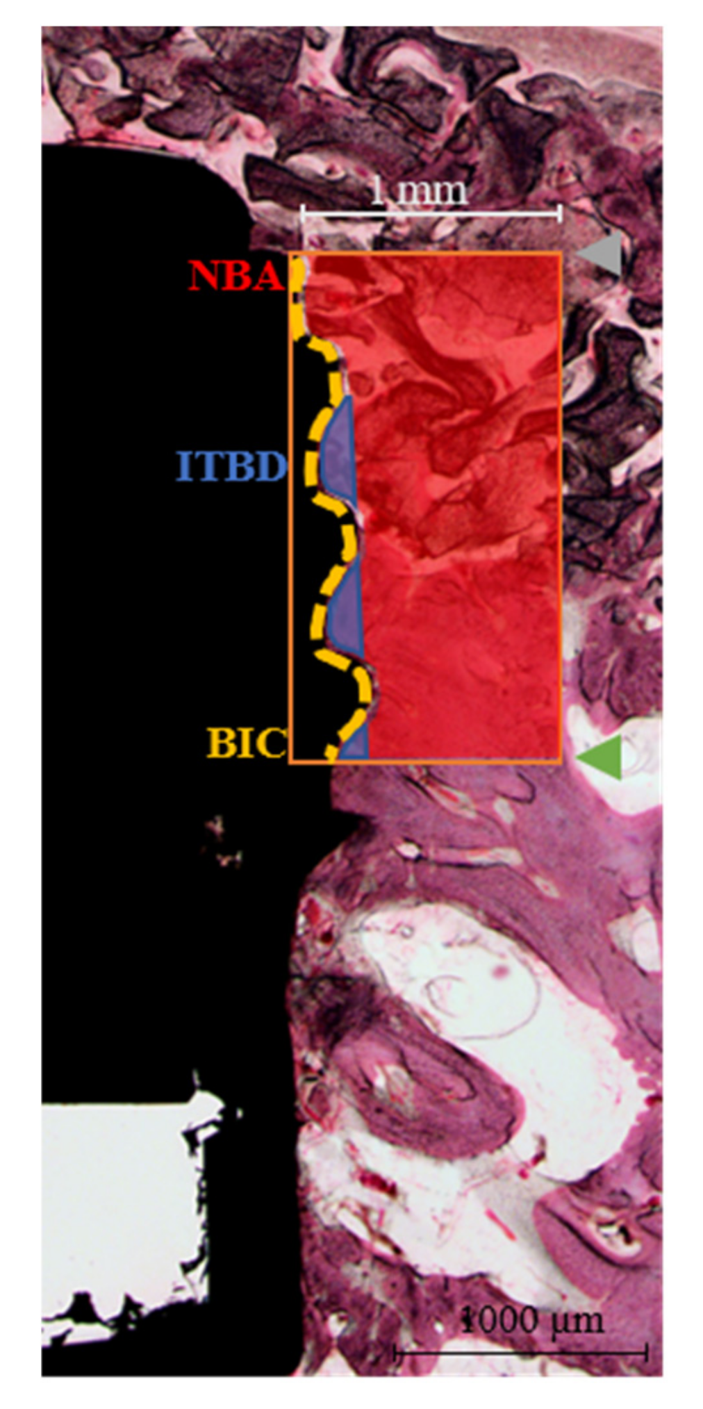 Materials 13 04599 g002 Materials 13 04599 g002