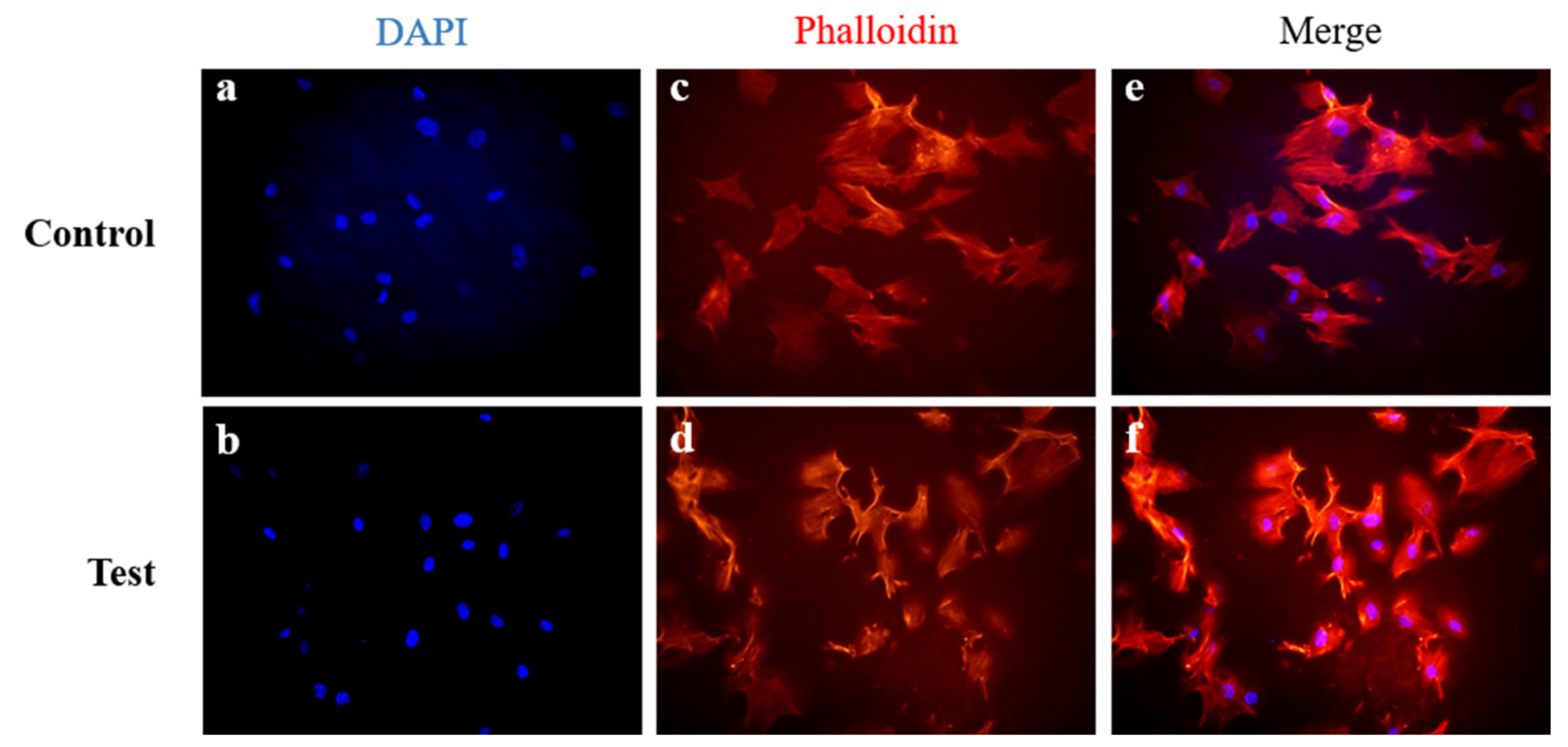 Materials 13 04599 g006 Materials 13 04599 g006