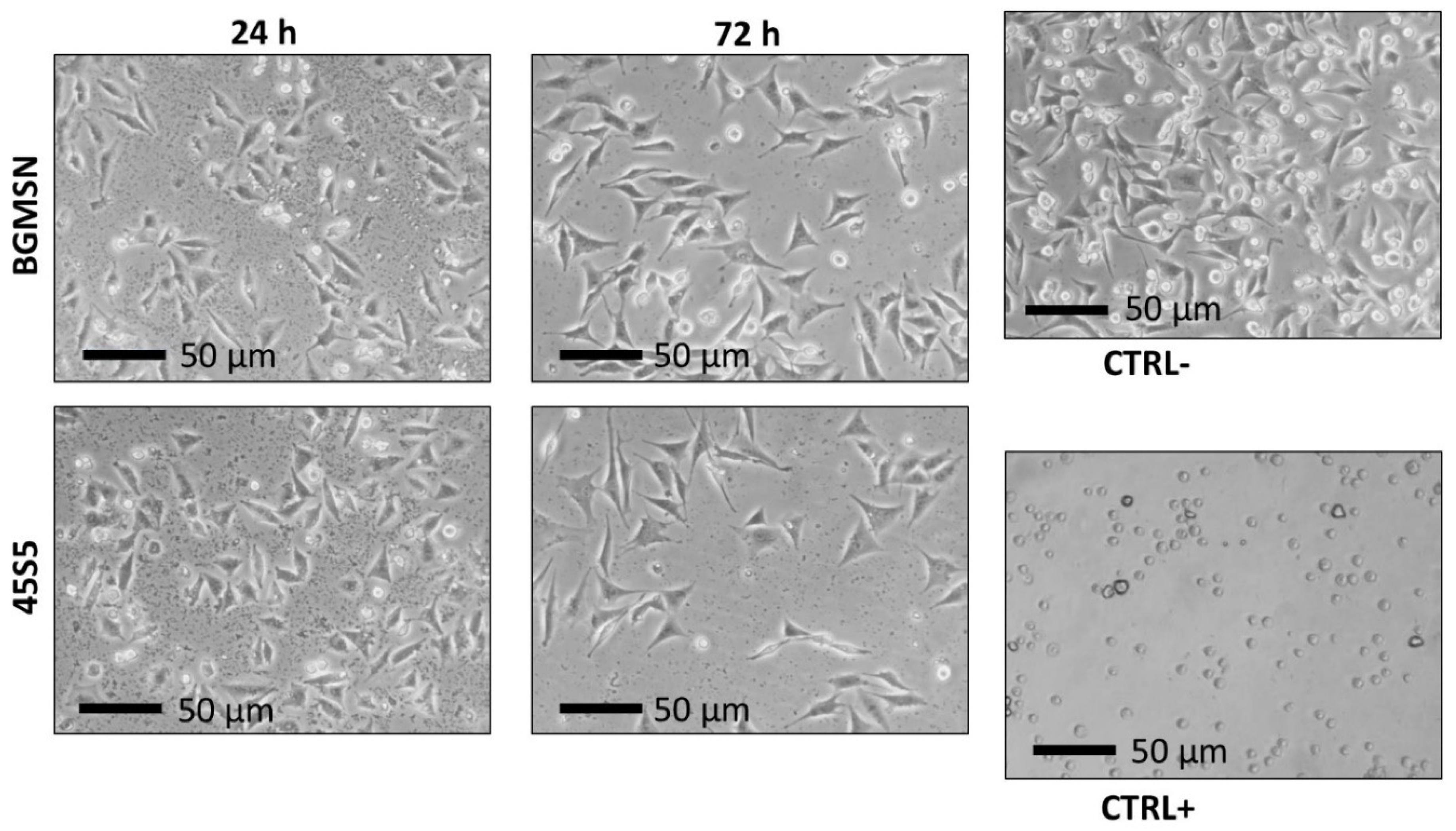 Materials 13 04600 g006 Materials 13 04600 g006