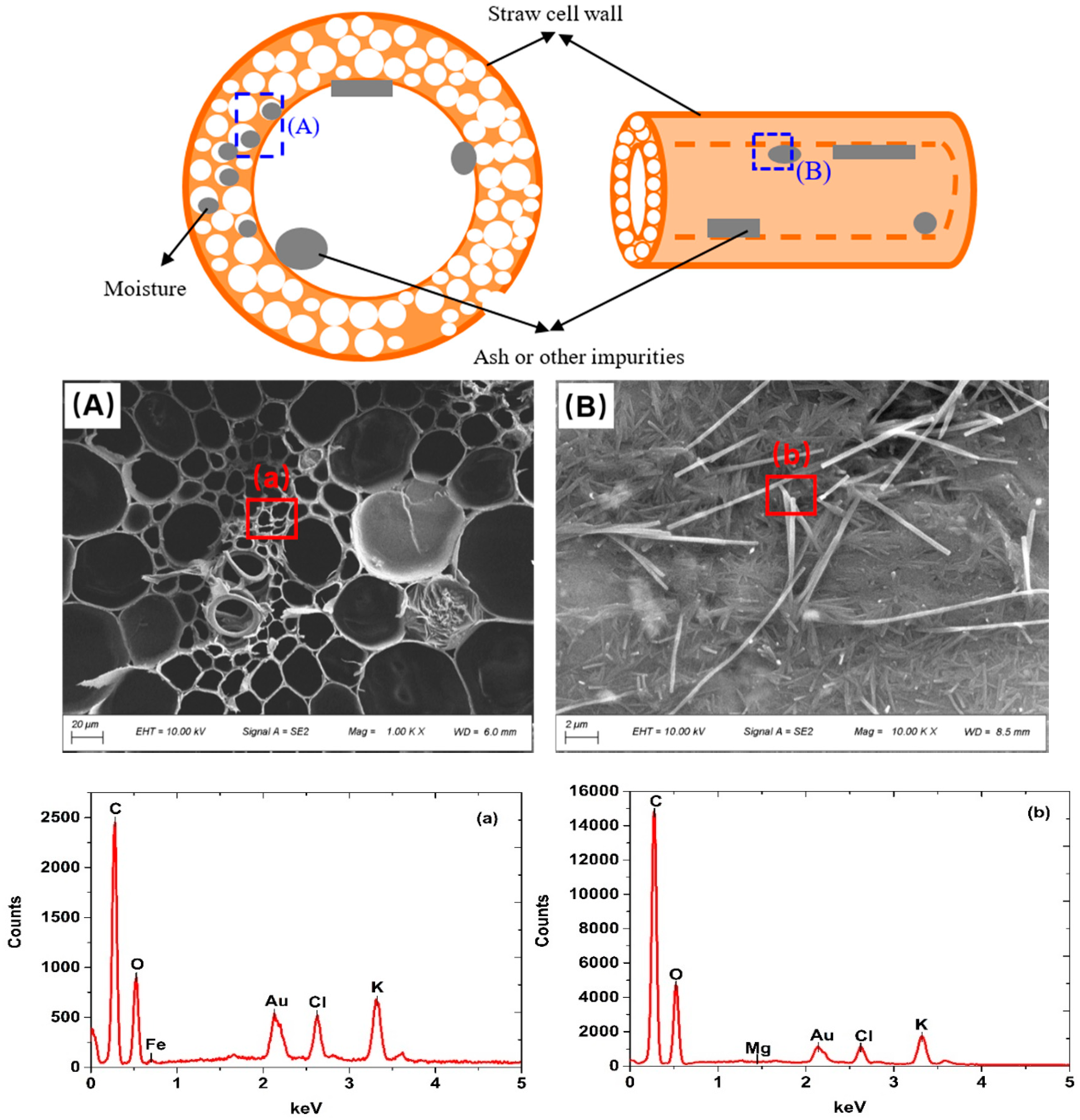 Materials 13 04604 g008 Materials 13 04604 g008
