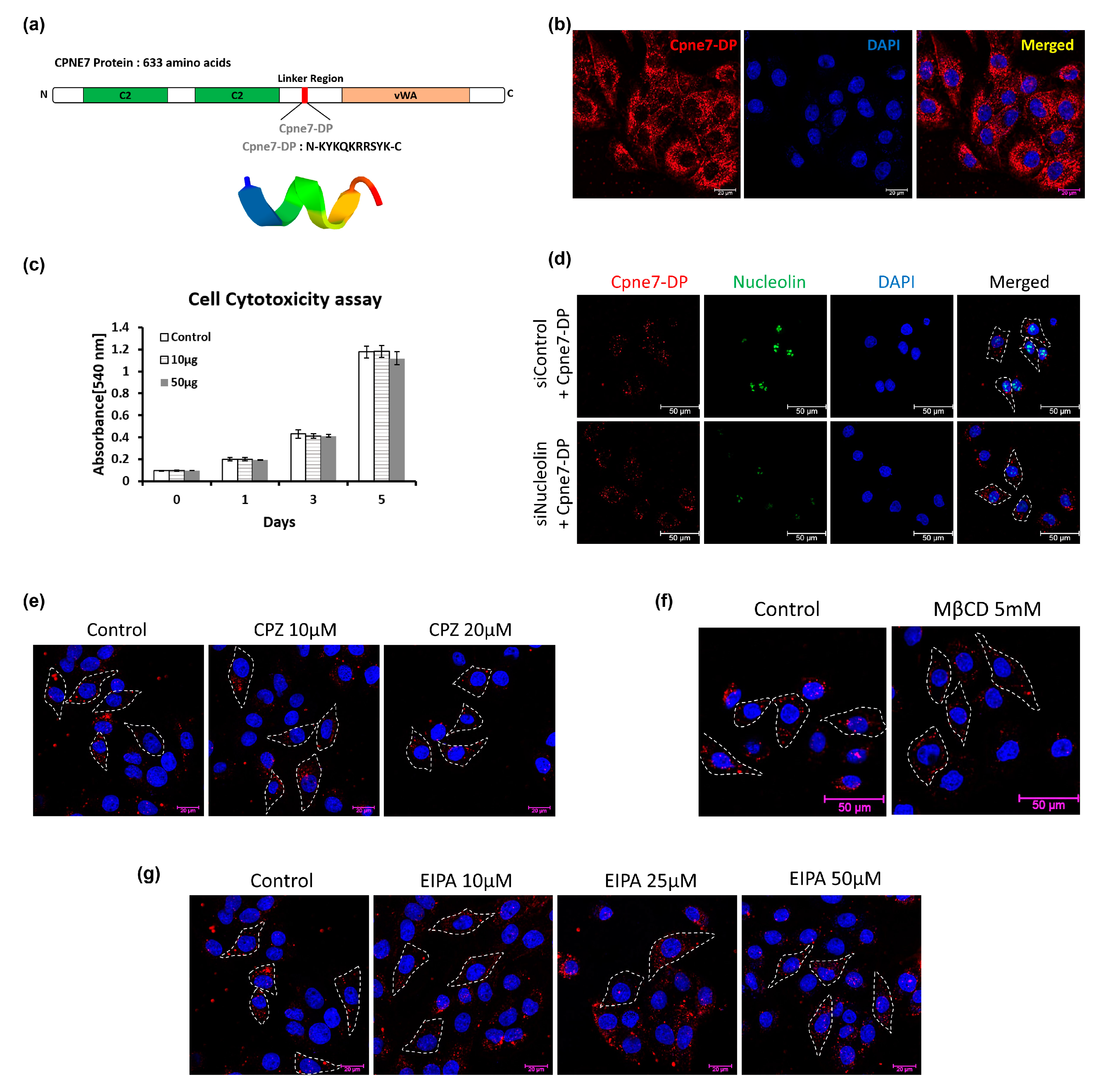 Materials 13 04618 g002