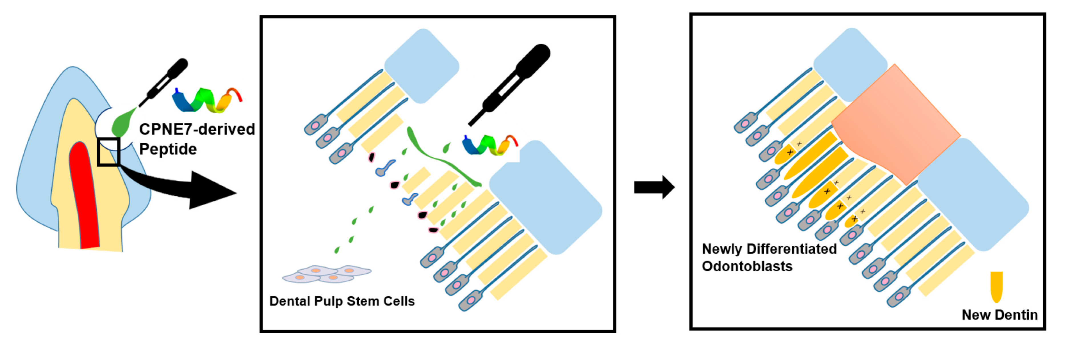 Materials 13 04618 g006