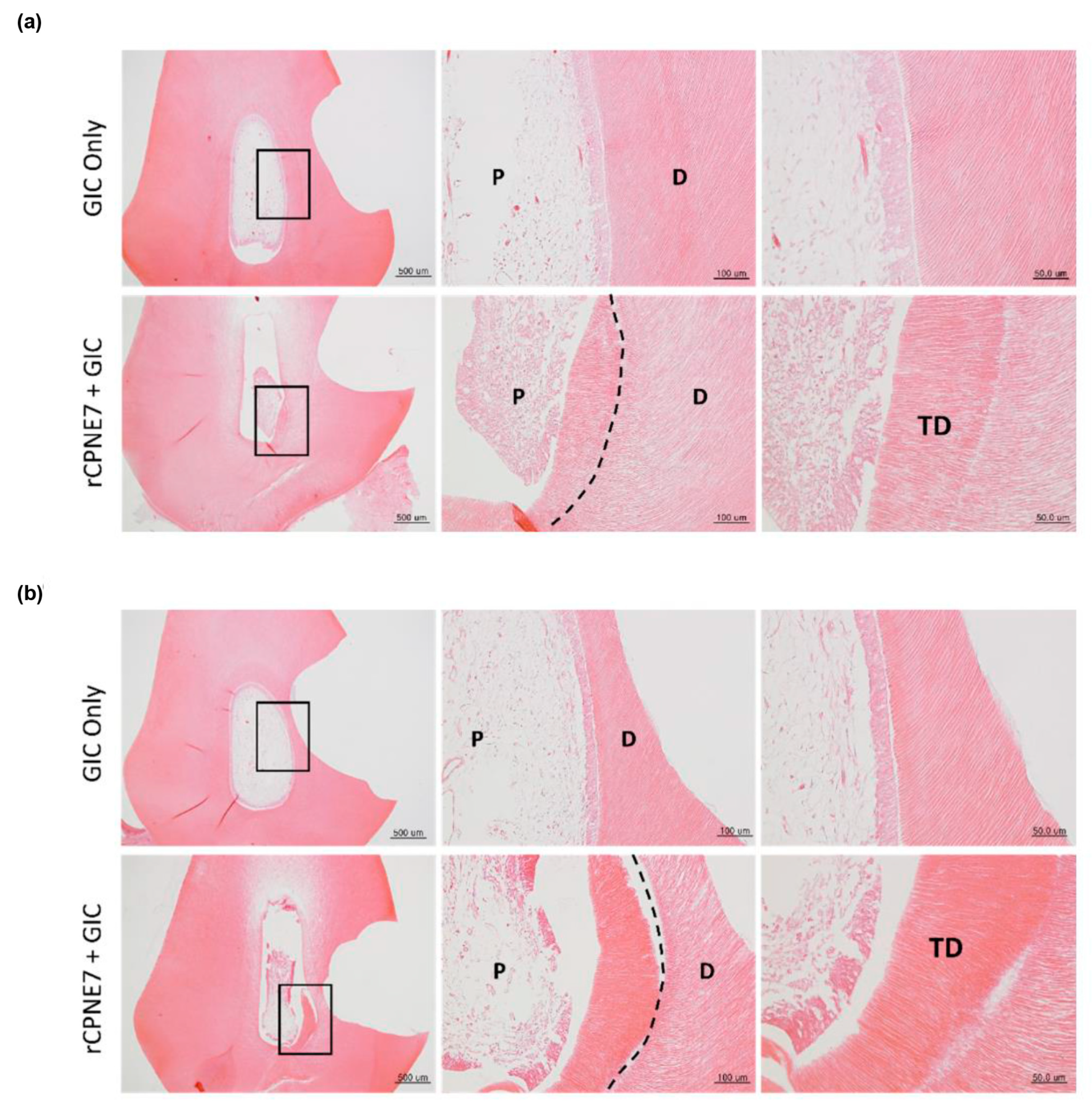 Materials 13 04618 g0a1