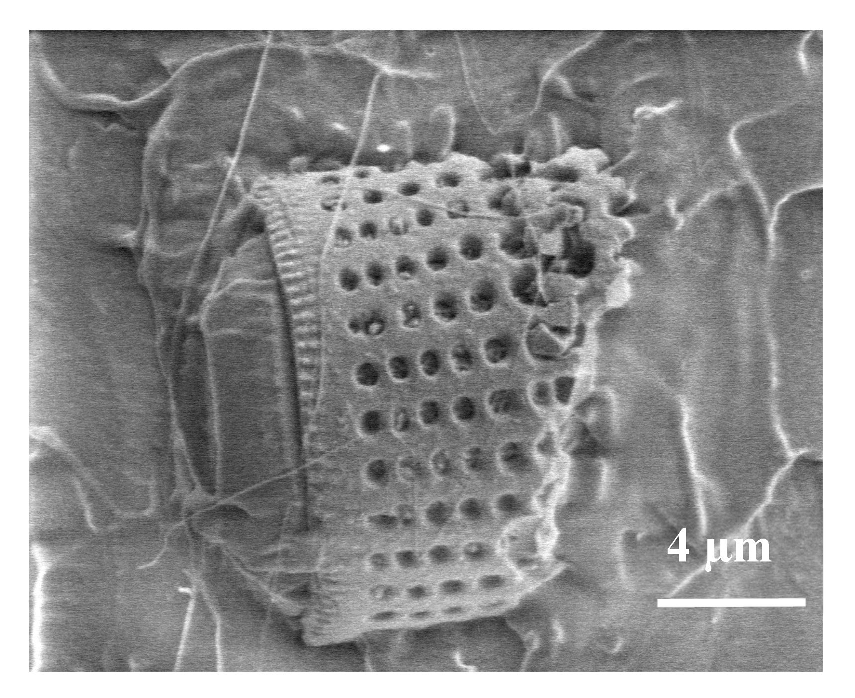 Materials 13 04632 g005 Materials 13 04632 g005