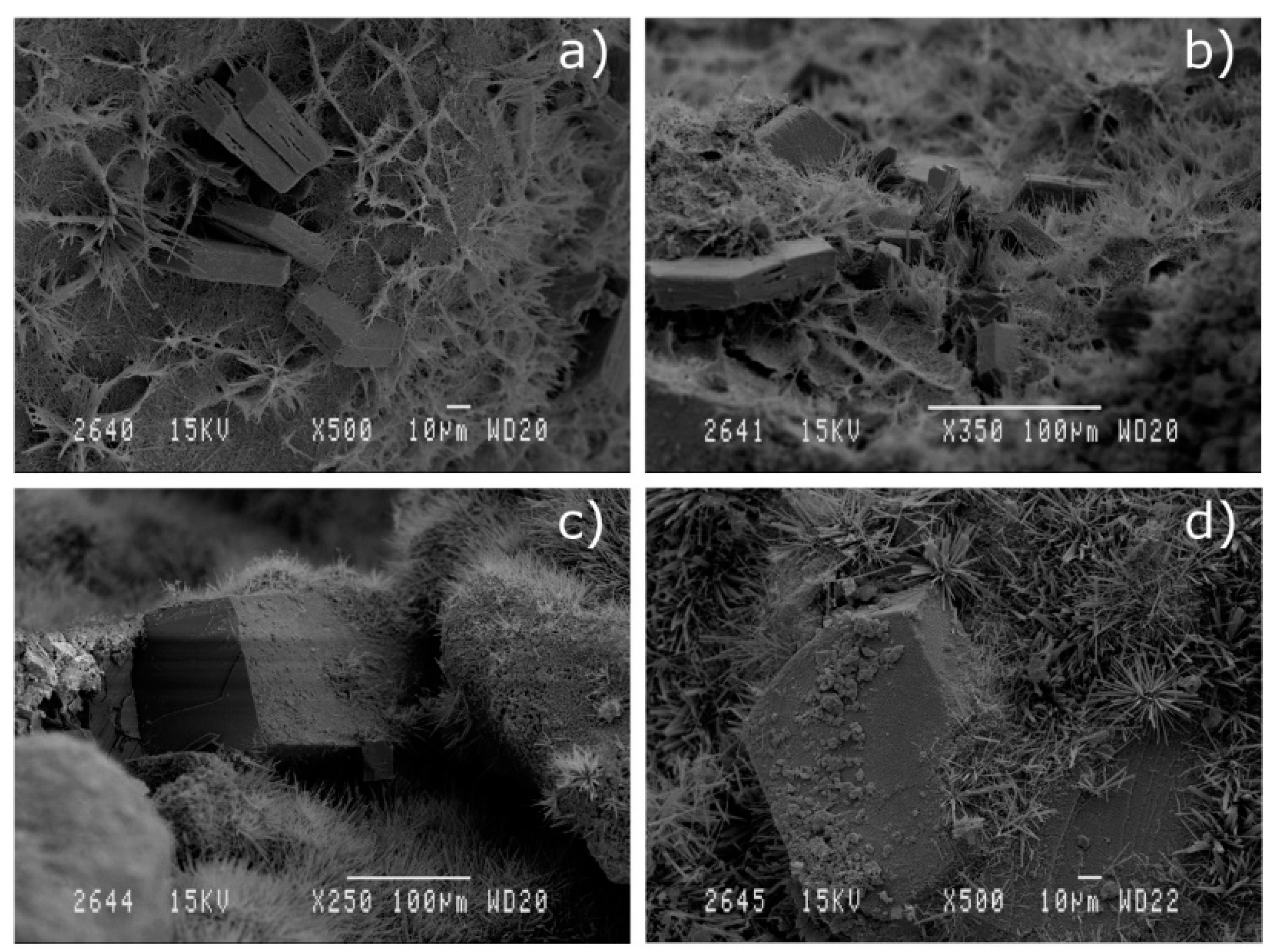 Materials 13 04634 g008 Materials 13 04634 g008