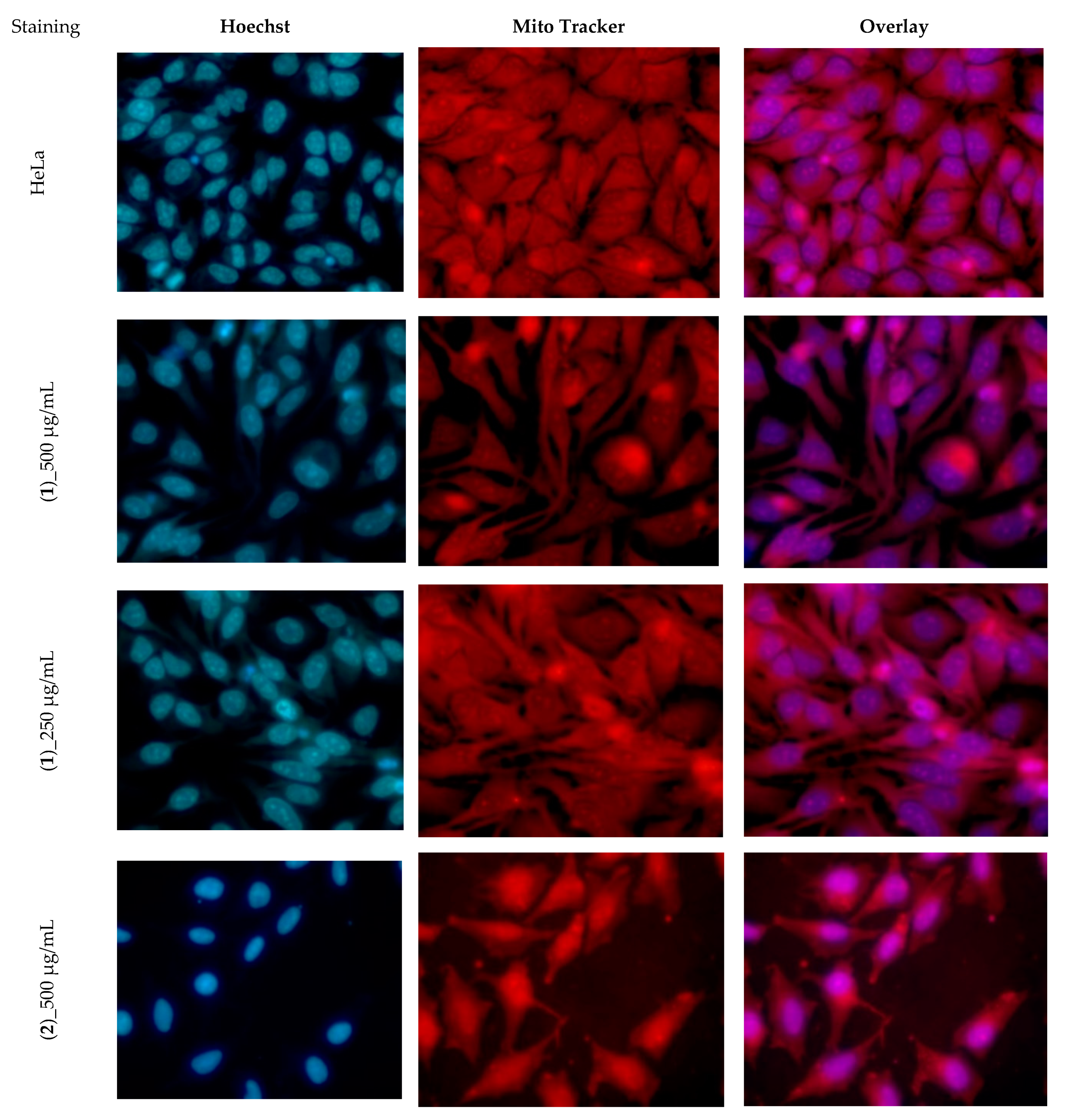 Materials 13 04640 g008a