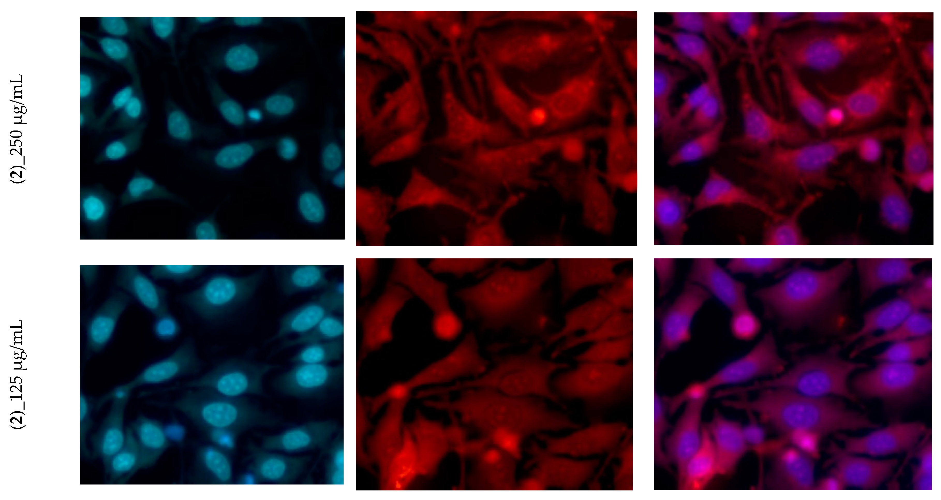 Materials 13 04640 g008b