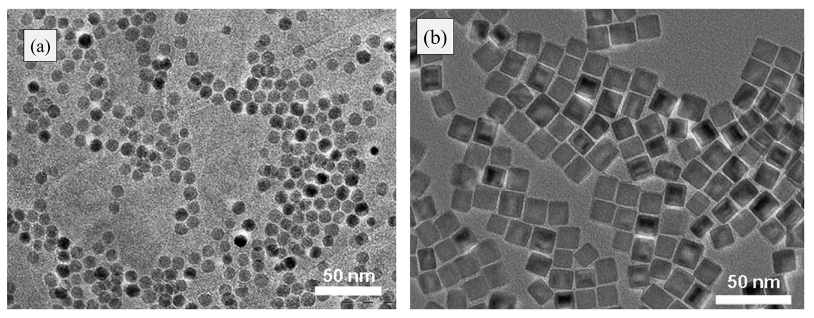 Materials 13 04644 g004