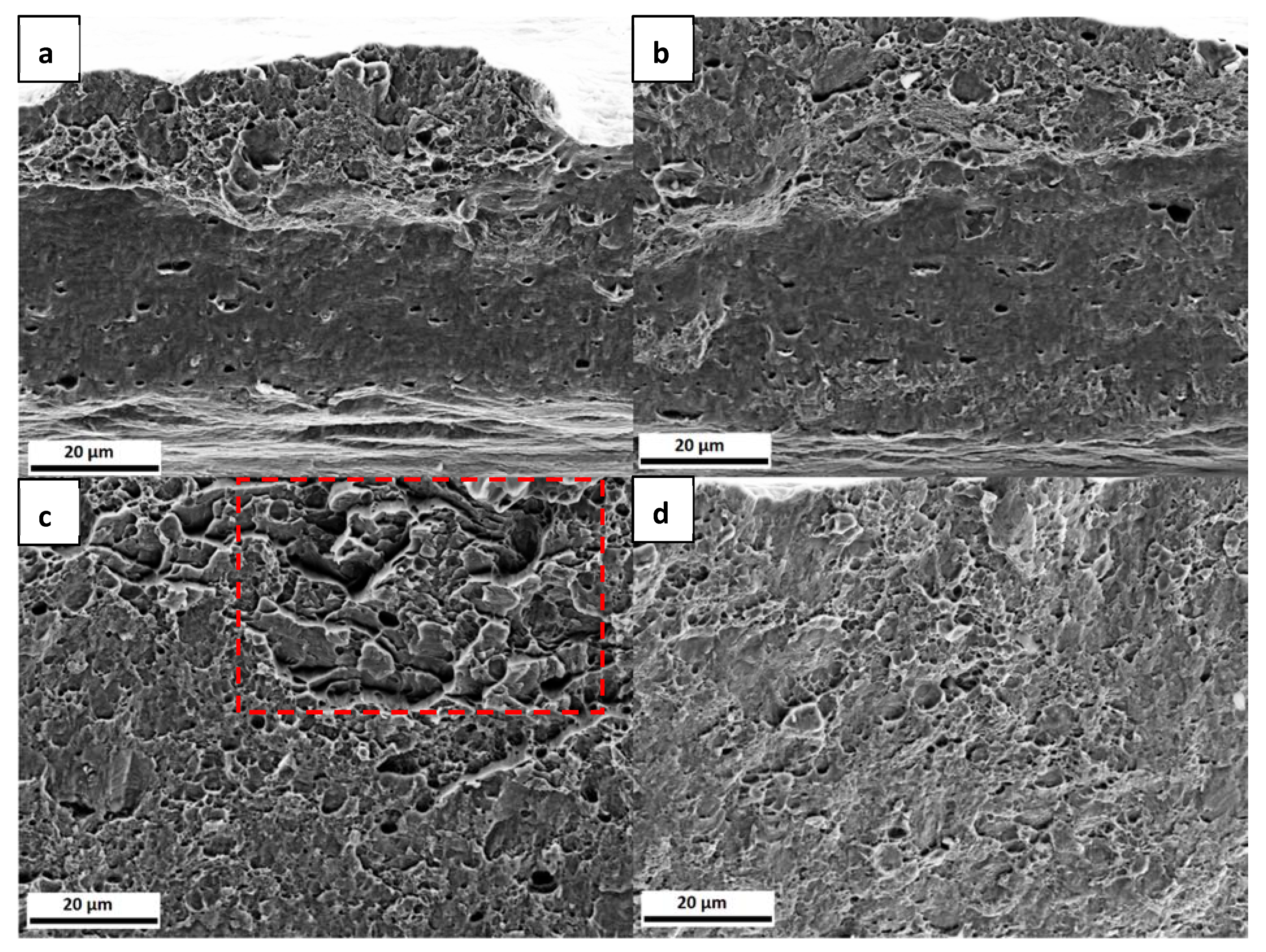 Materials 13 04677 g011 Materials 13 04677 g011