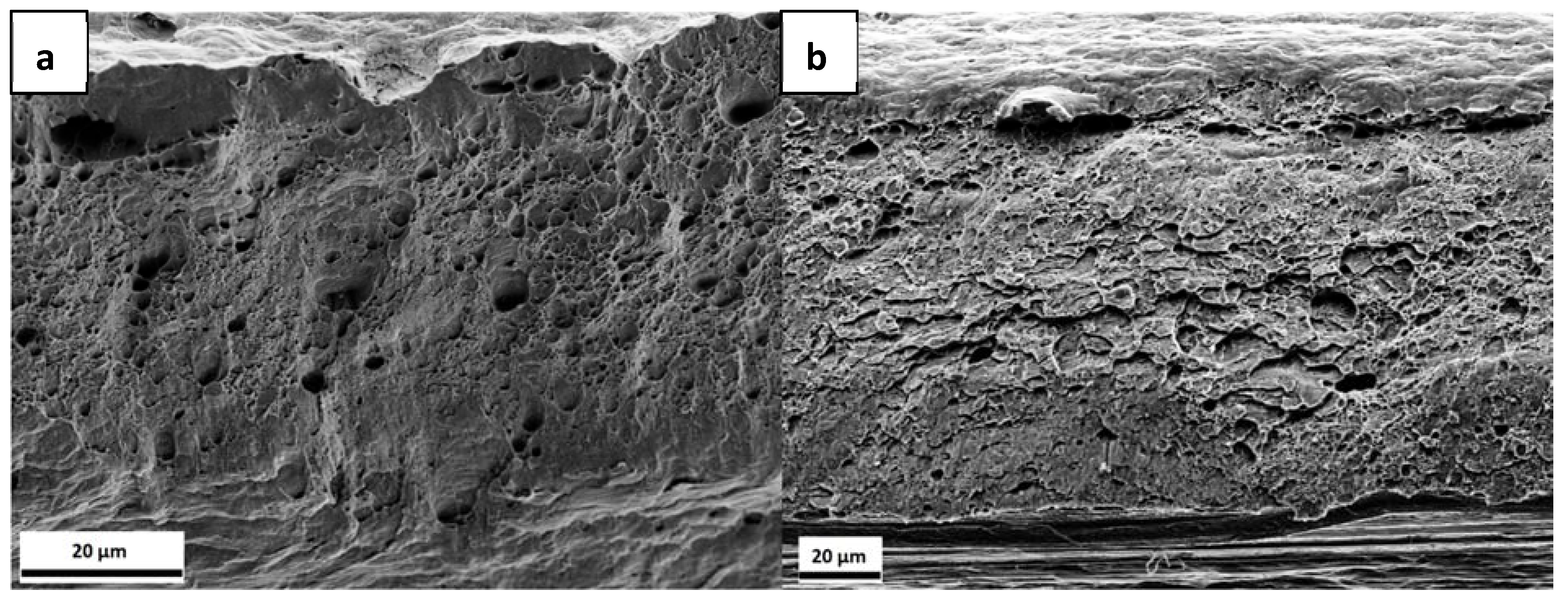 Materials 13 04677 g013 Materials 13 04677 g013