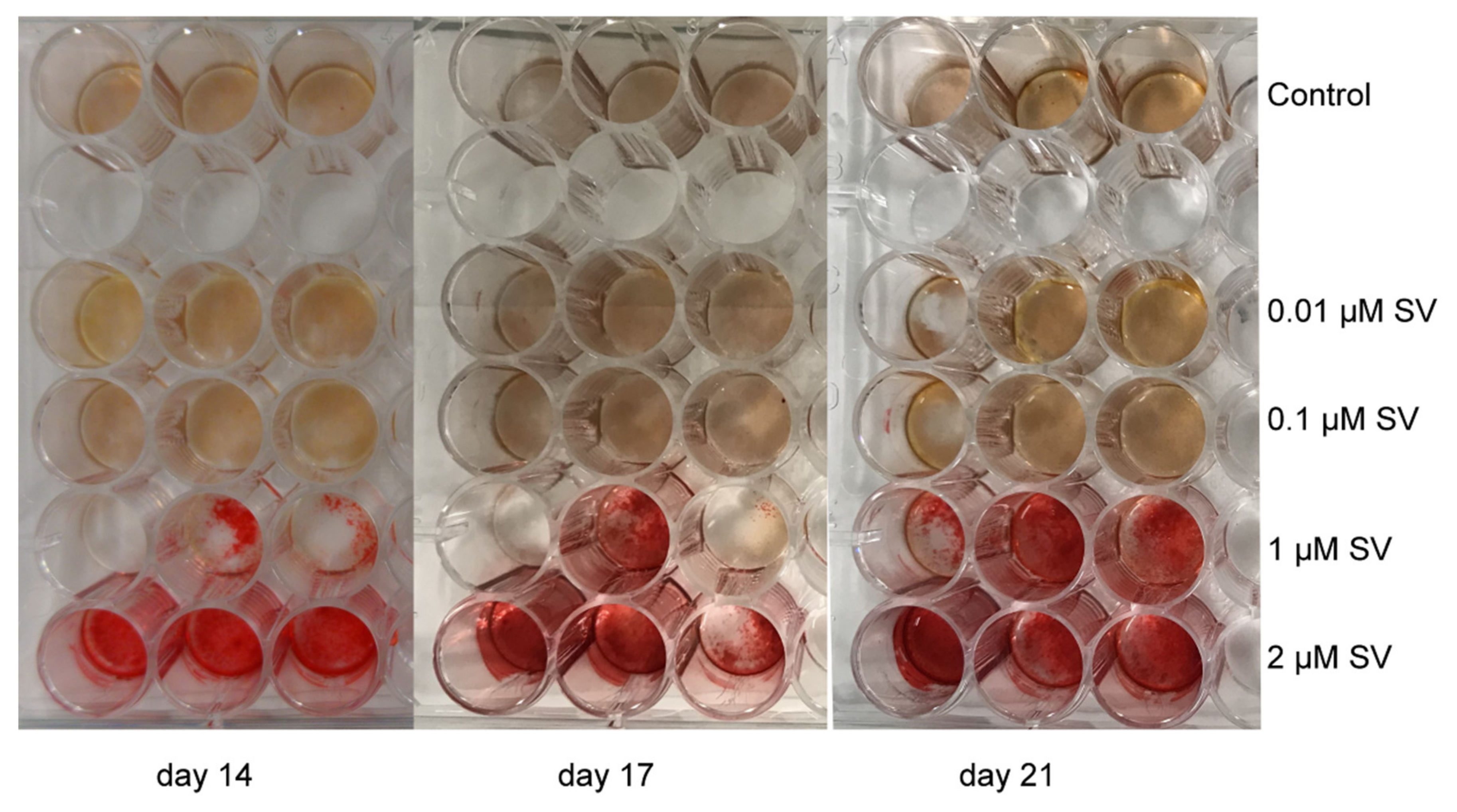 Materials 13 04679 g005 Materials 13 04679 g005