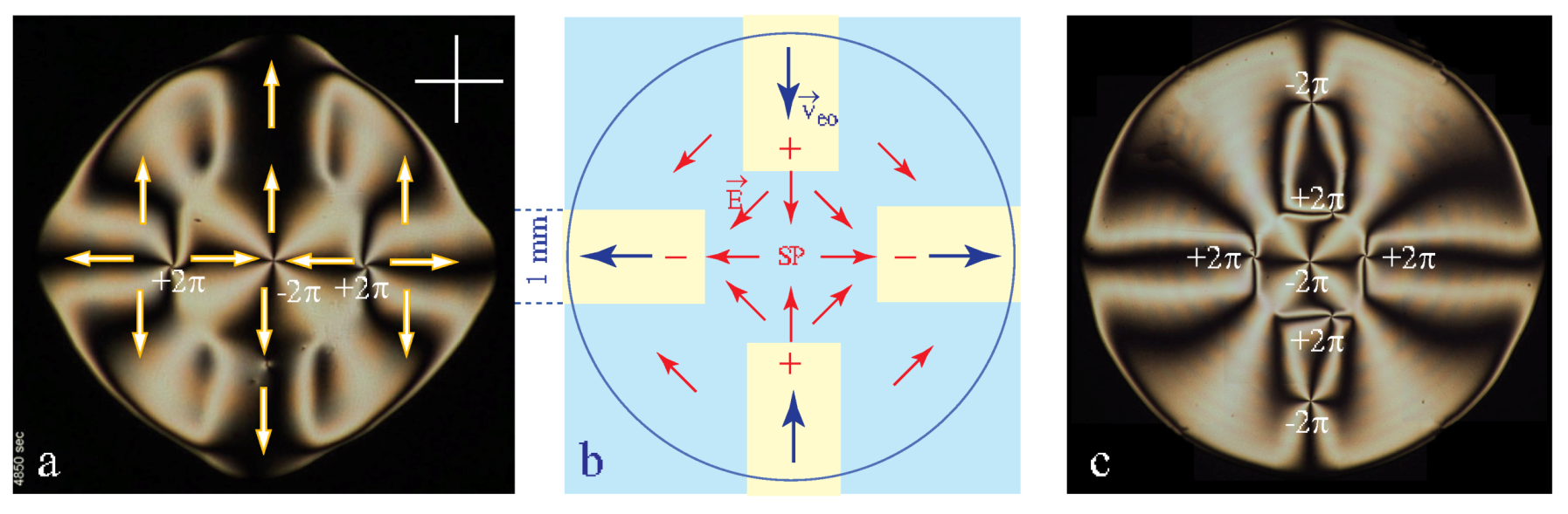 Materials 13 04681 g017
