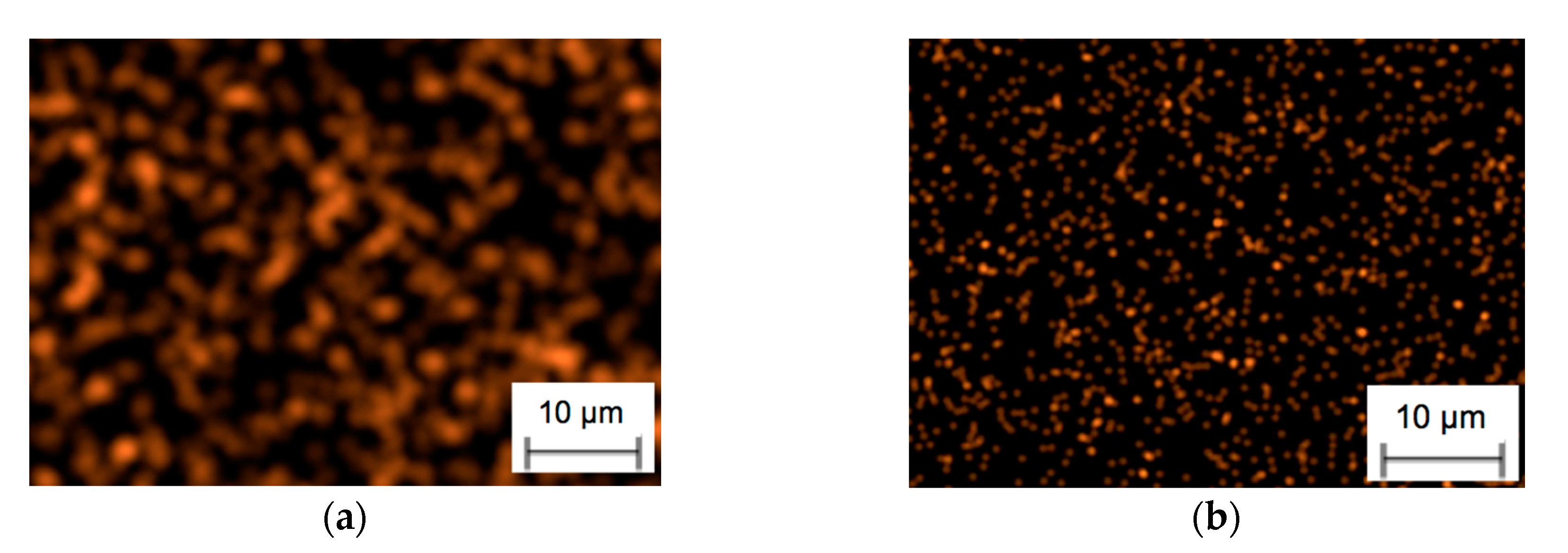 Materials 13 04687 g004 Materials 13 04687 g004