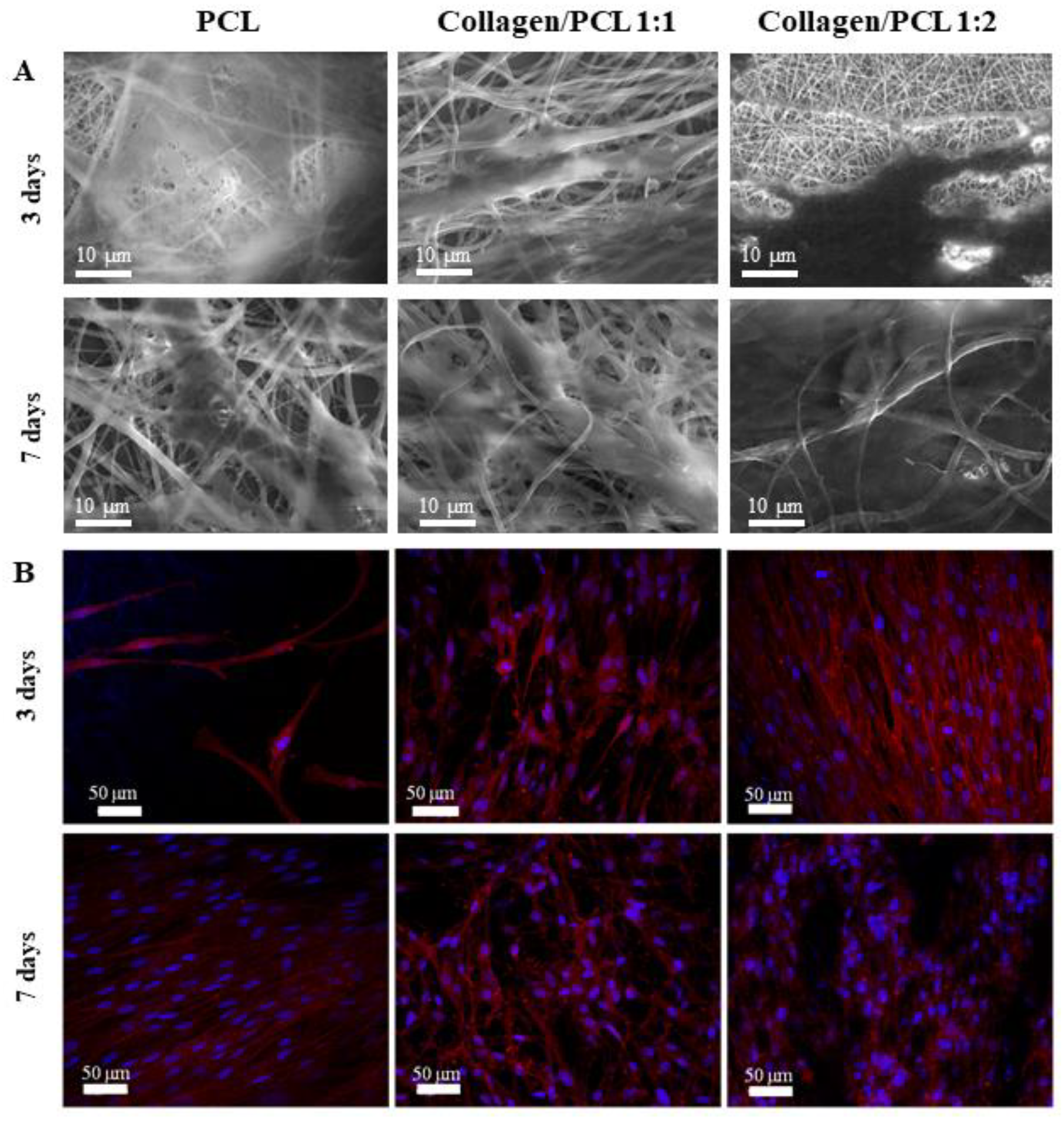 Materials 13 04698 g012 Materials 13 04698 g012