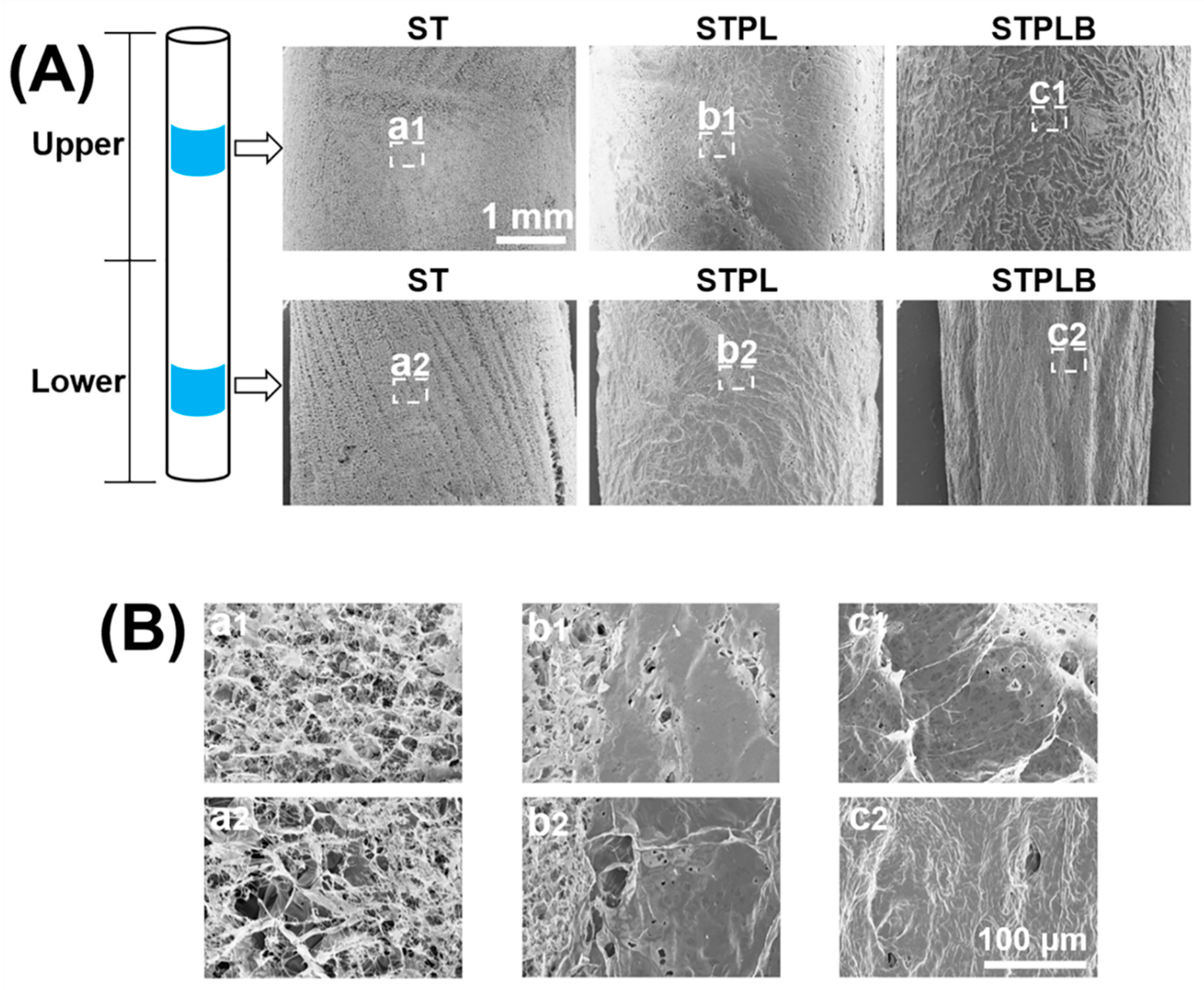 Materials 13 04705 g004 Materials 13 04705 g004