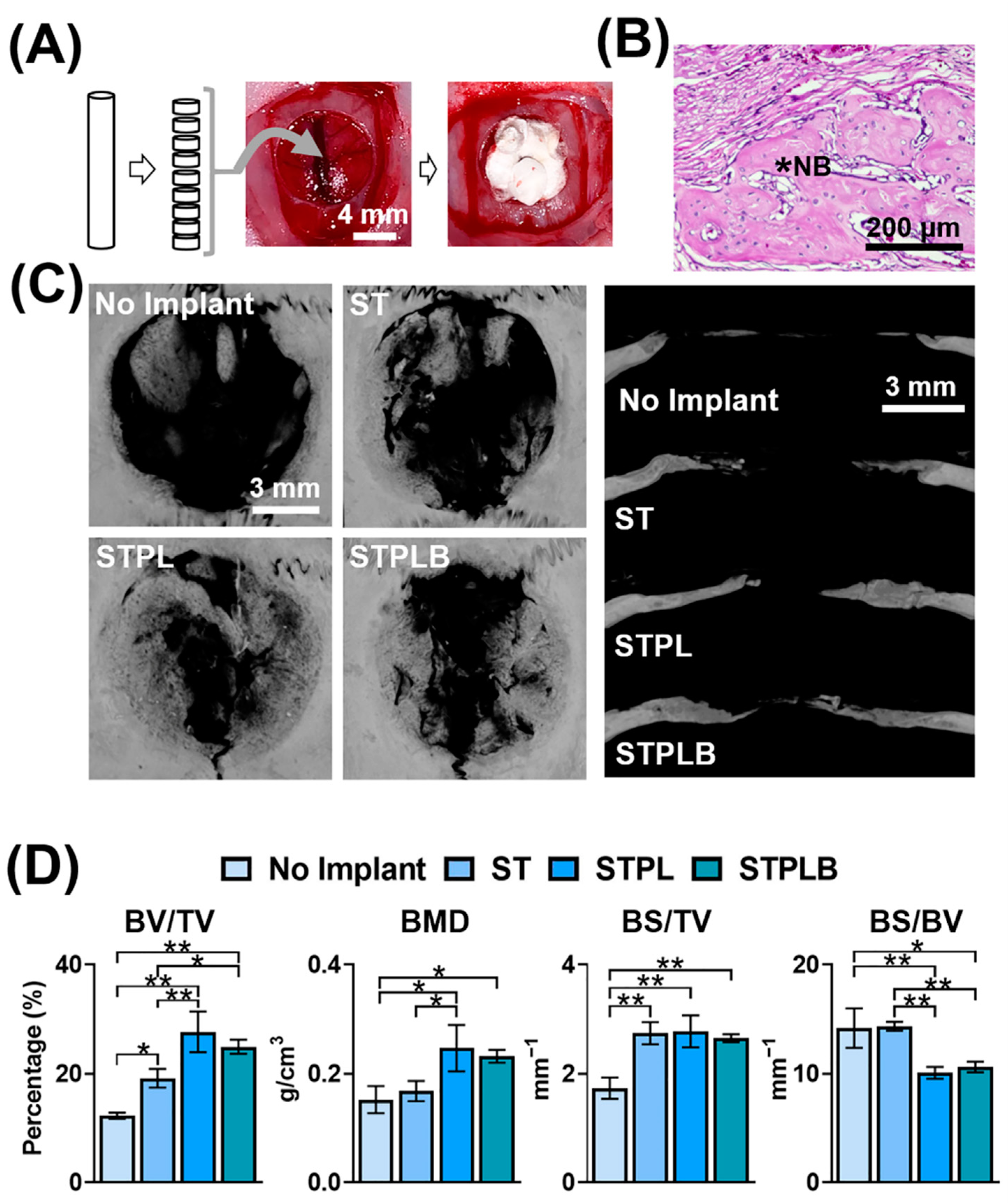 Materials 13 04705 g008 Materials 13 04705 g008