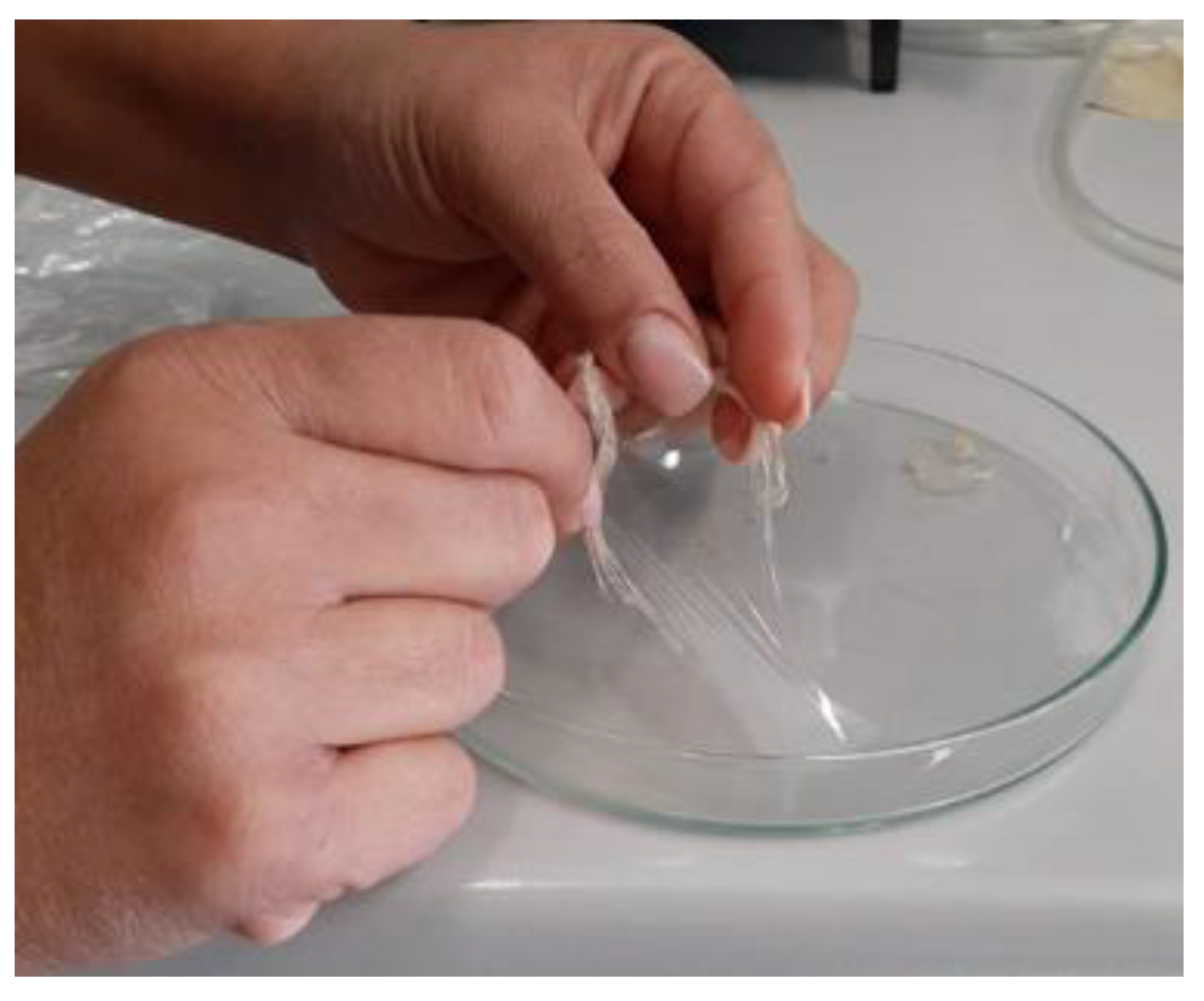 Materials 13 04710 g012 Materials 13 04710 g012