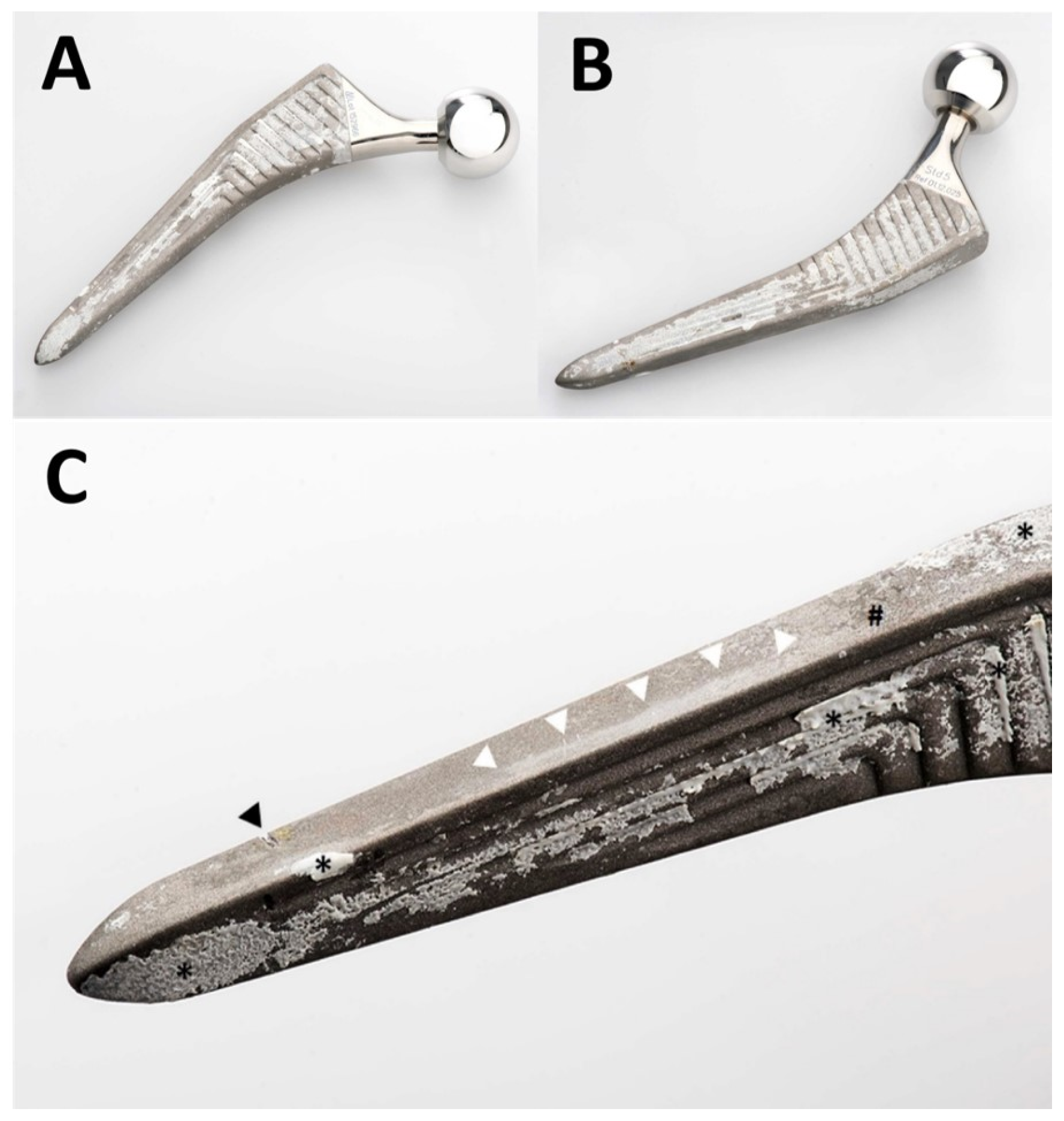 Materials 13 04713 g002 Materials 13 04713 g002