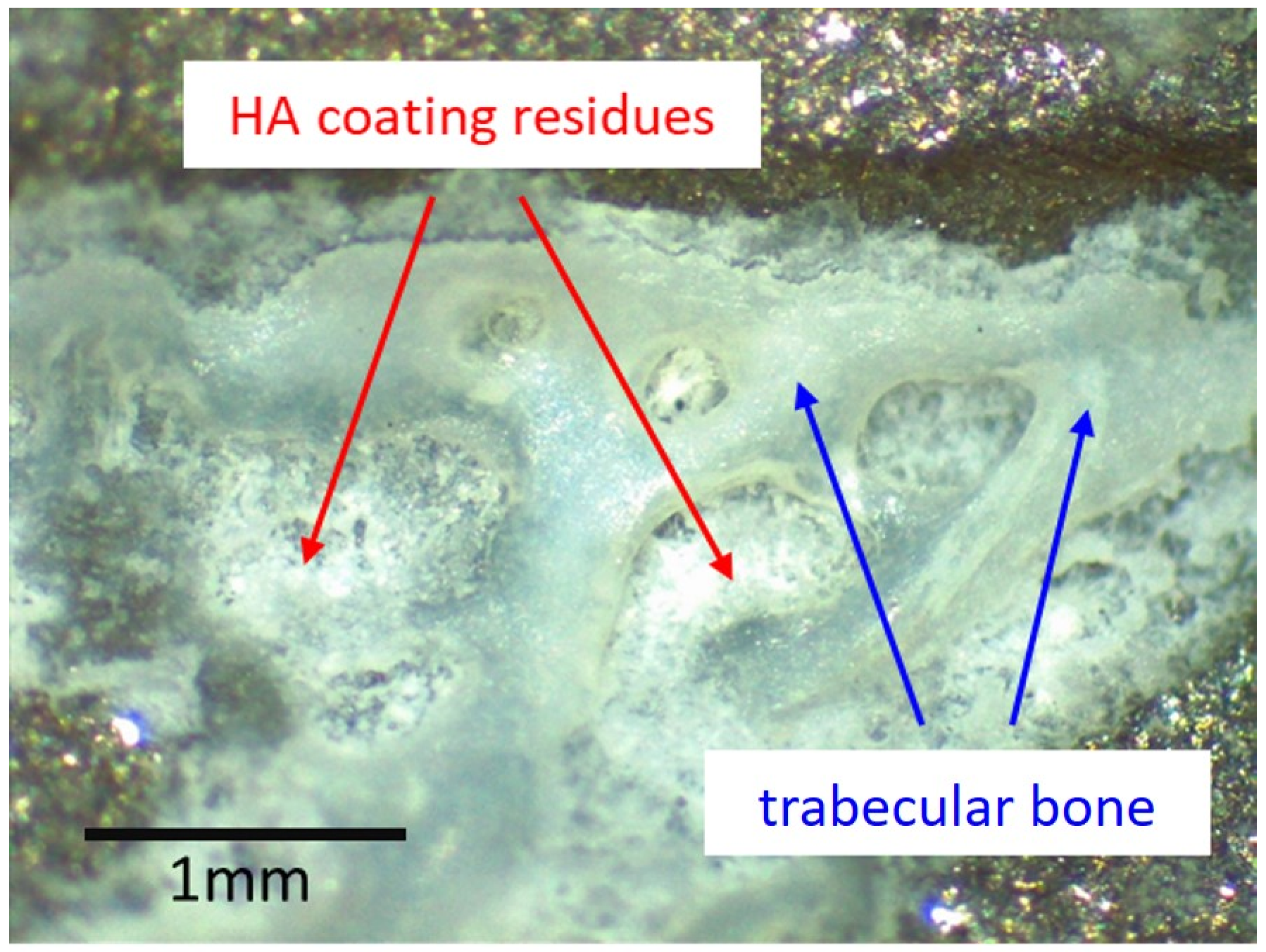 Materials 13 04713 g003 Materials 13 04713 g003