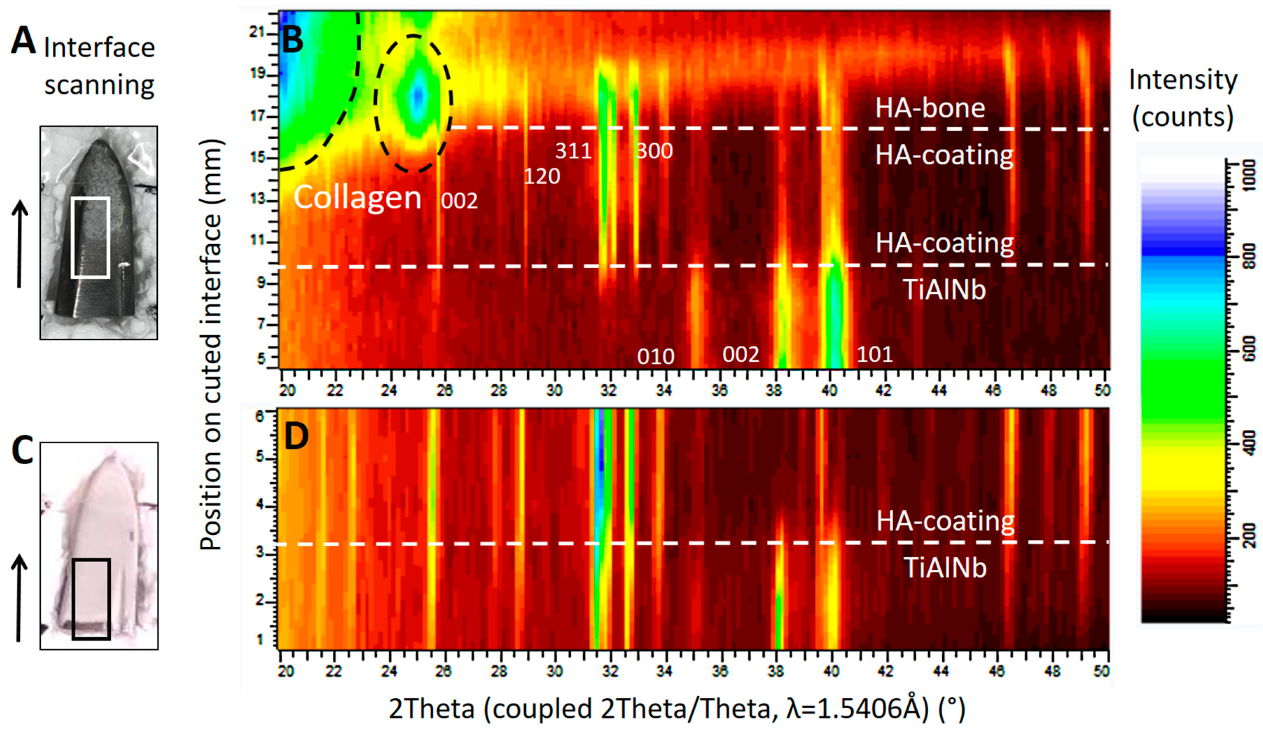 Materials 13 04713 g007 Materials 13 04713 g007
