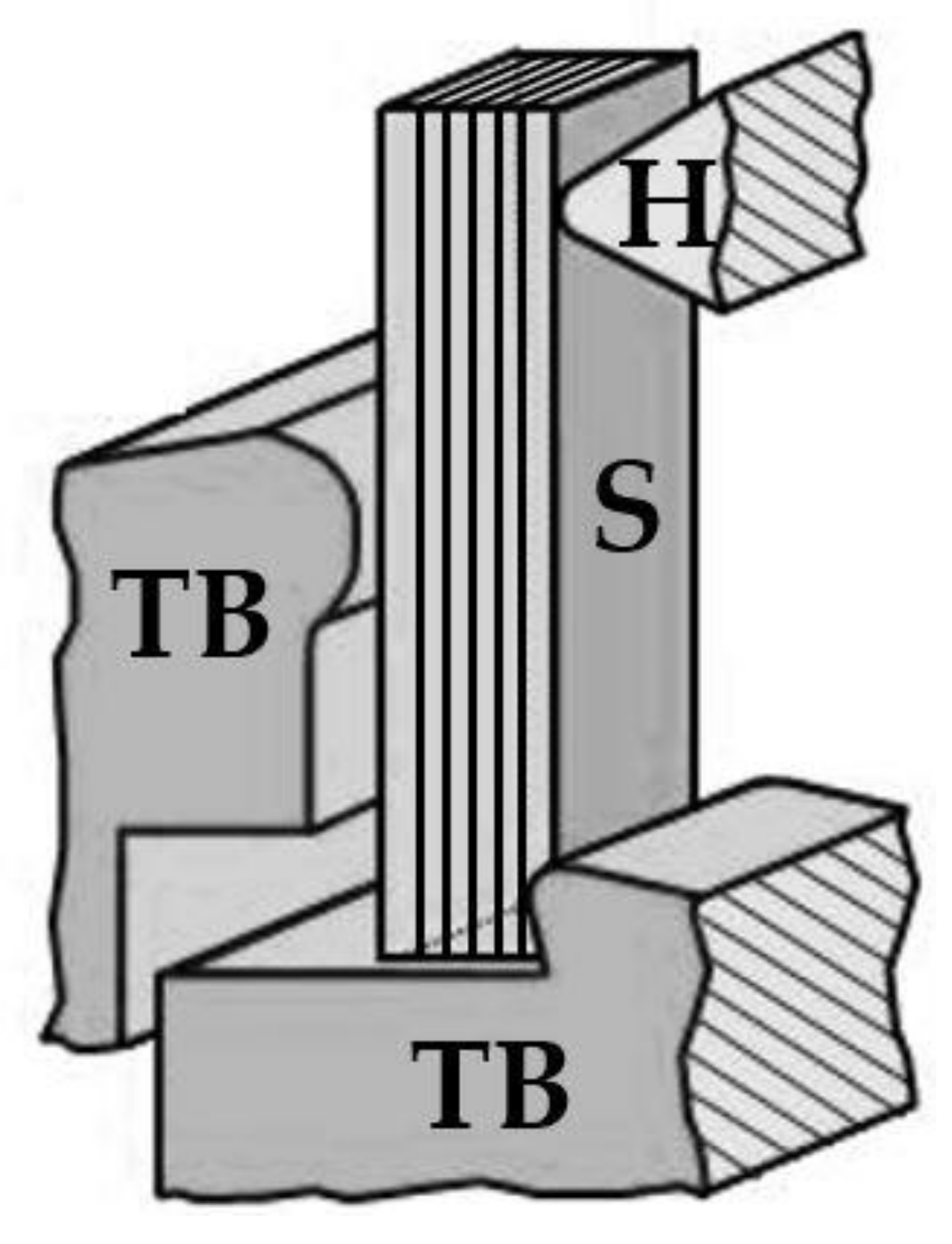 Materials 13 04714 g003 Materials 13 04714 g003