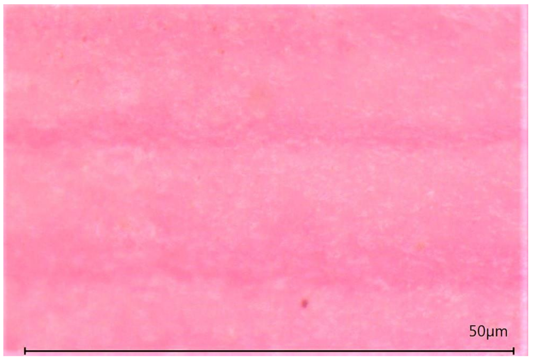 Materials 13 04714 g011 Materials 13 04714 g011