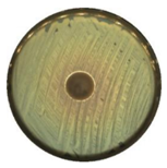 Materials 13 04715 i011 Materials 13 04715 i011