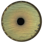 Materials 13 04715 i012 Materials 13 04715 i012